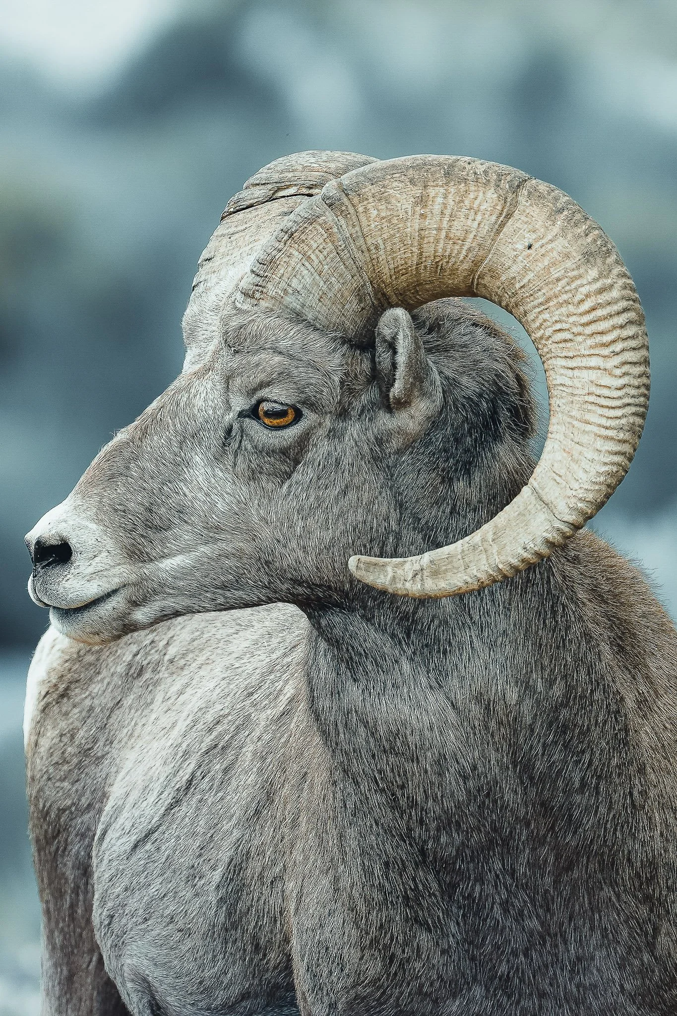 DSC01474 1_web_ed.jpg