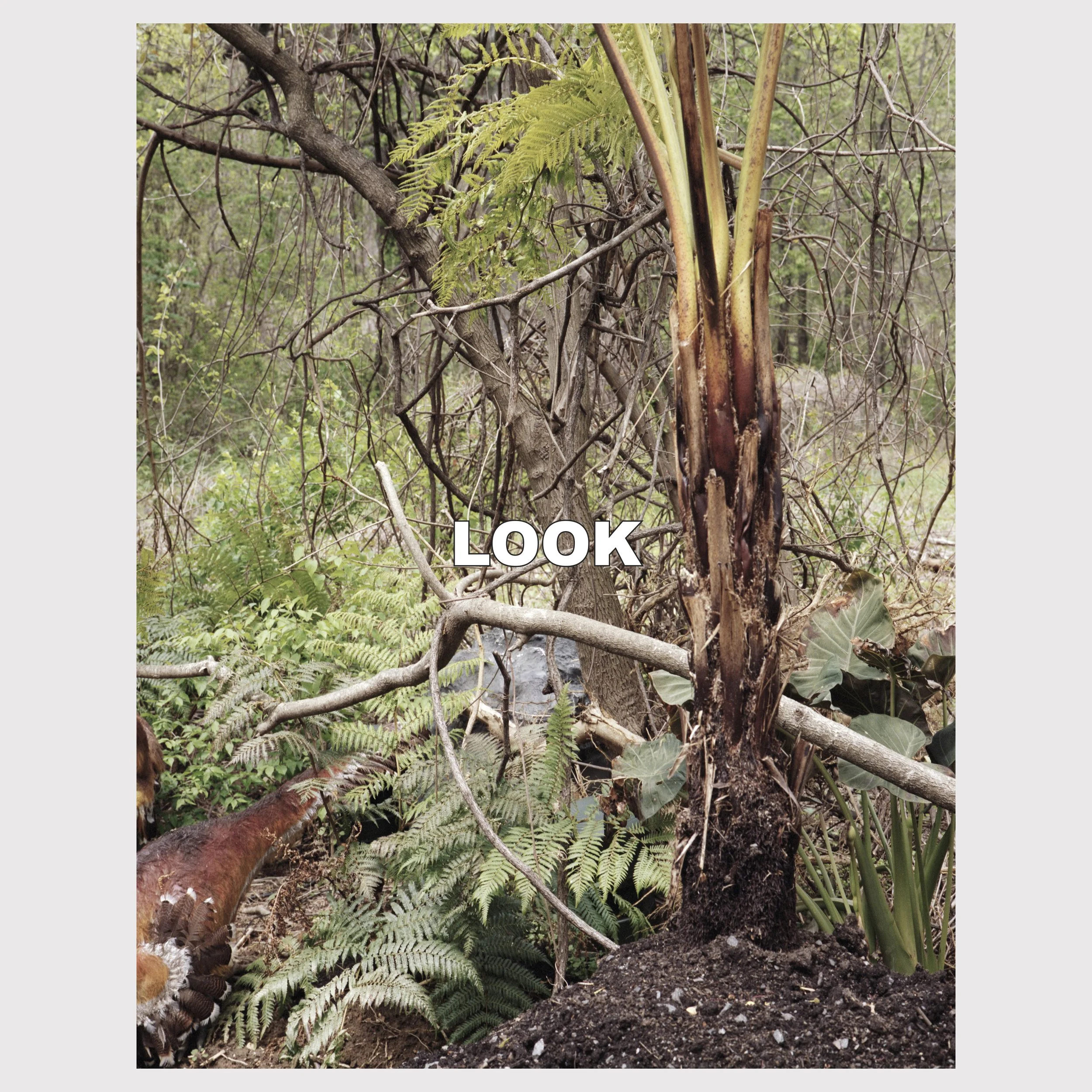 Hamboussi-cover-LOOK web.jpg