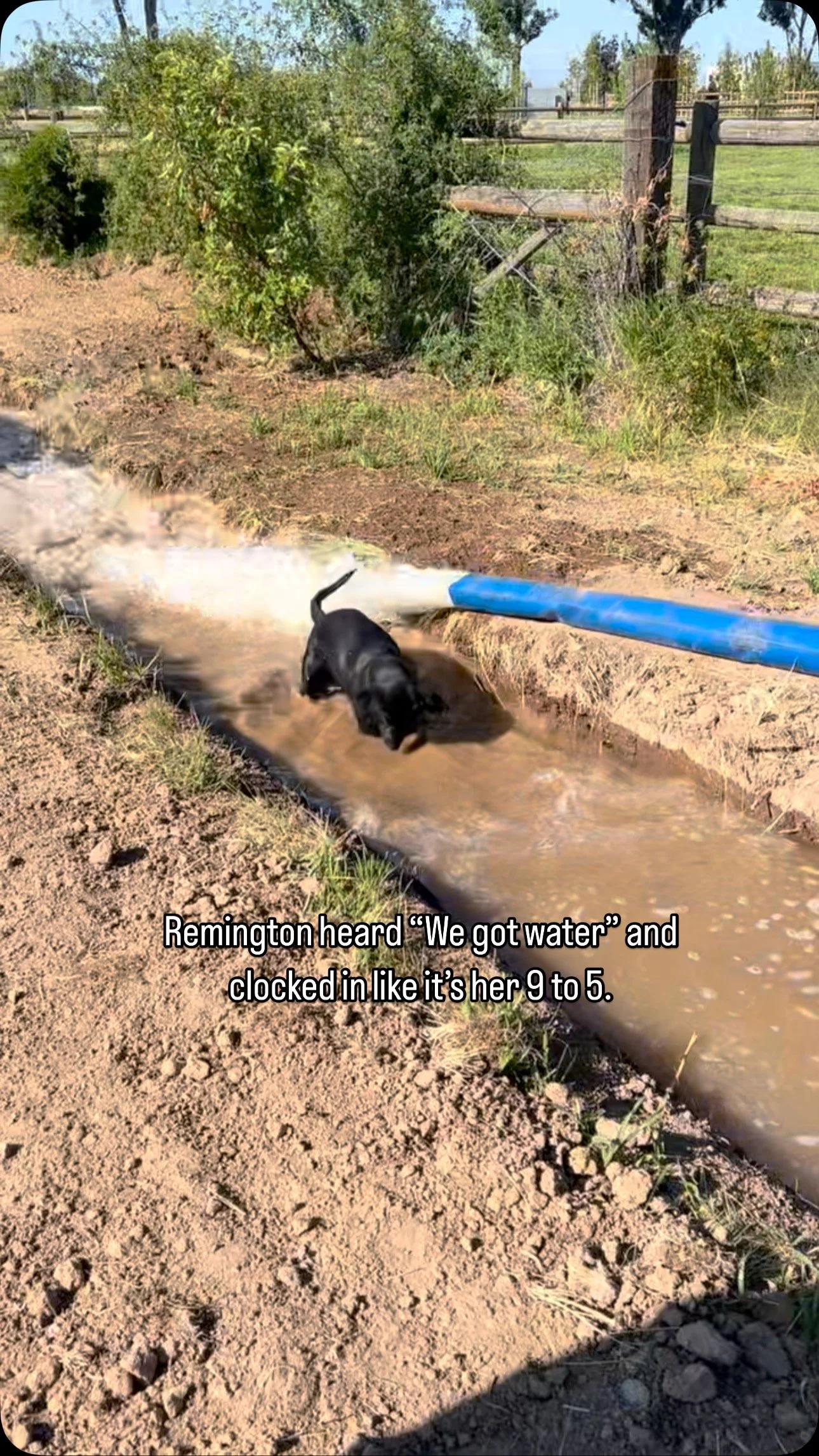 Slide 8