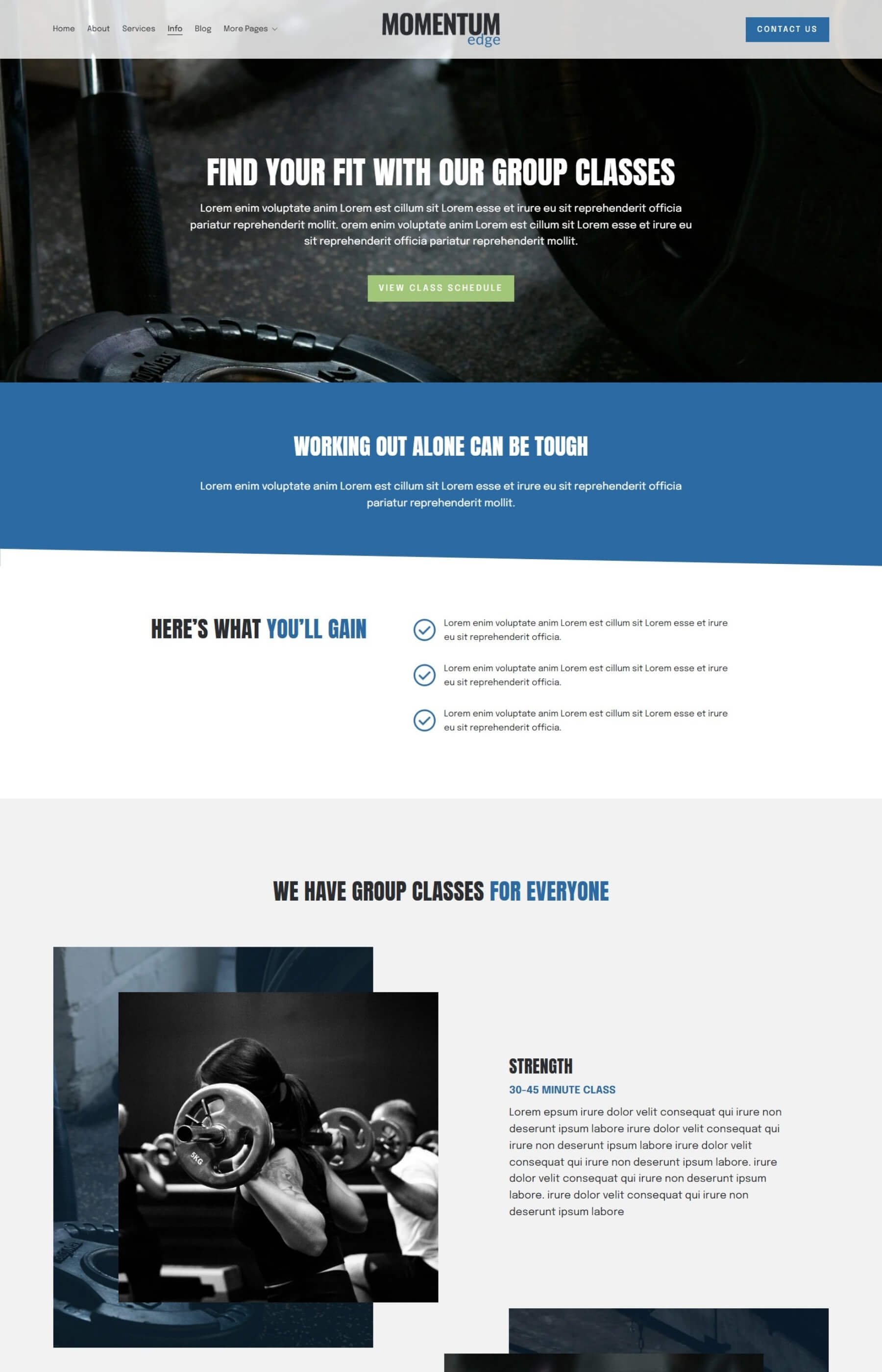 Screenshot of the information/sales page inside the Momentum Edge Template