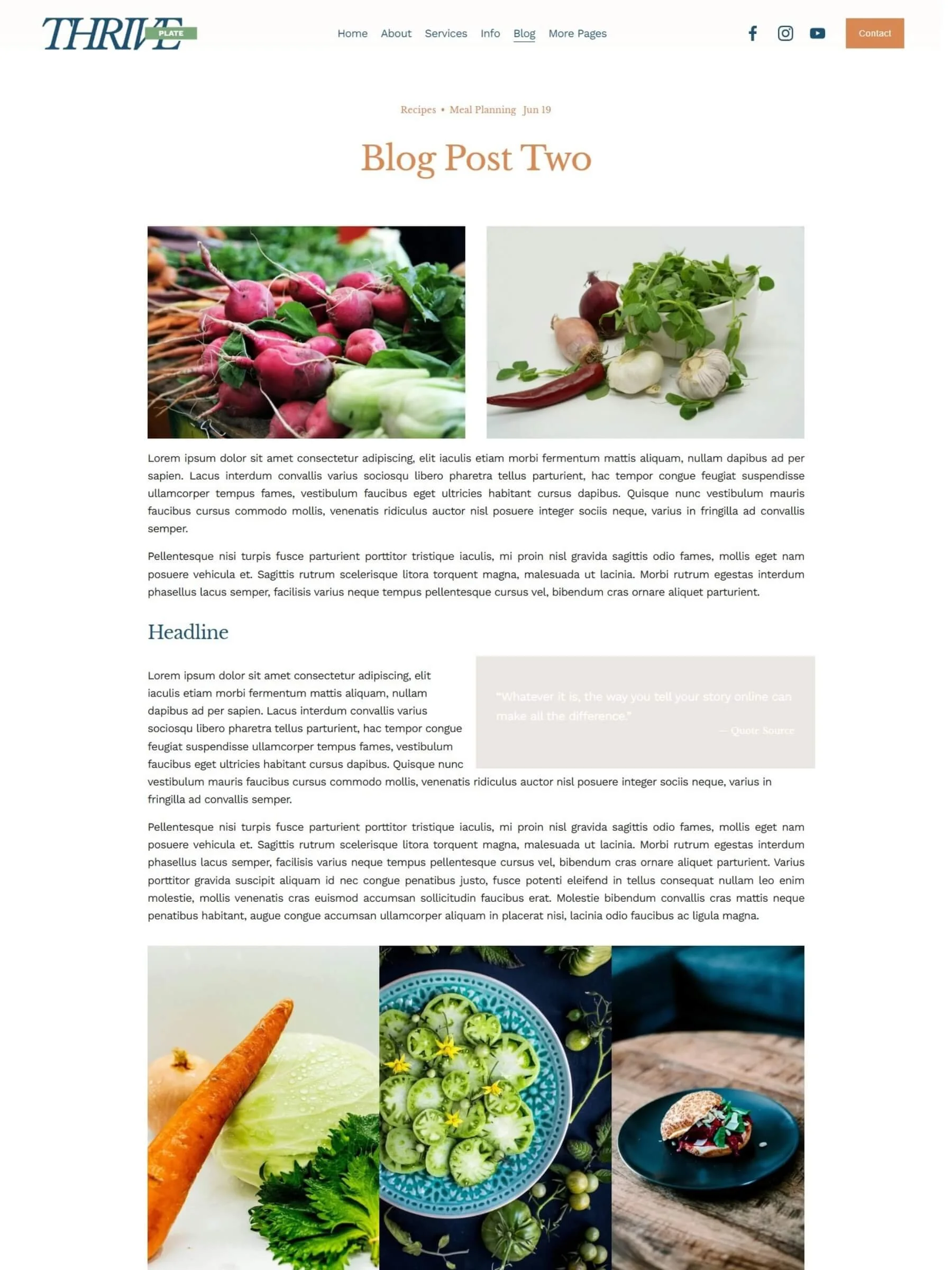 Screenshot of a blog post page inside the Thrive Plate Template