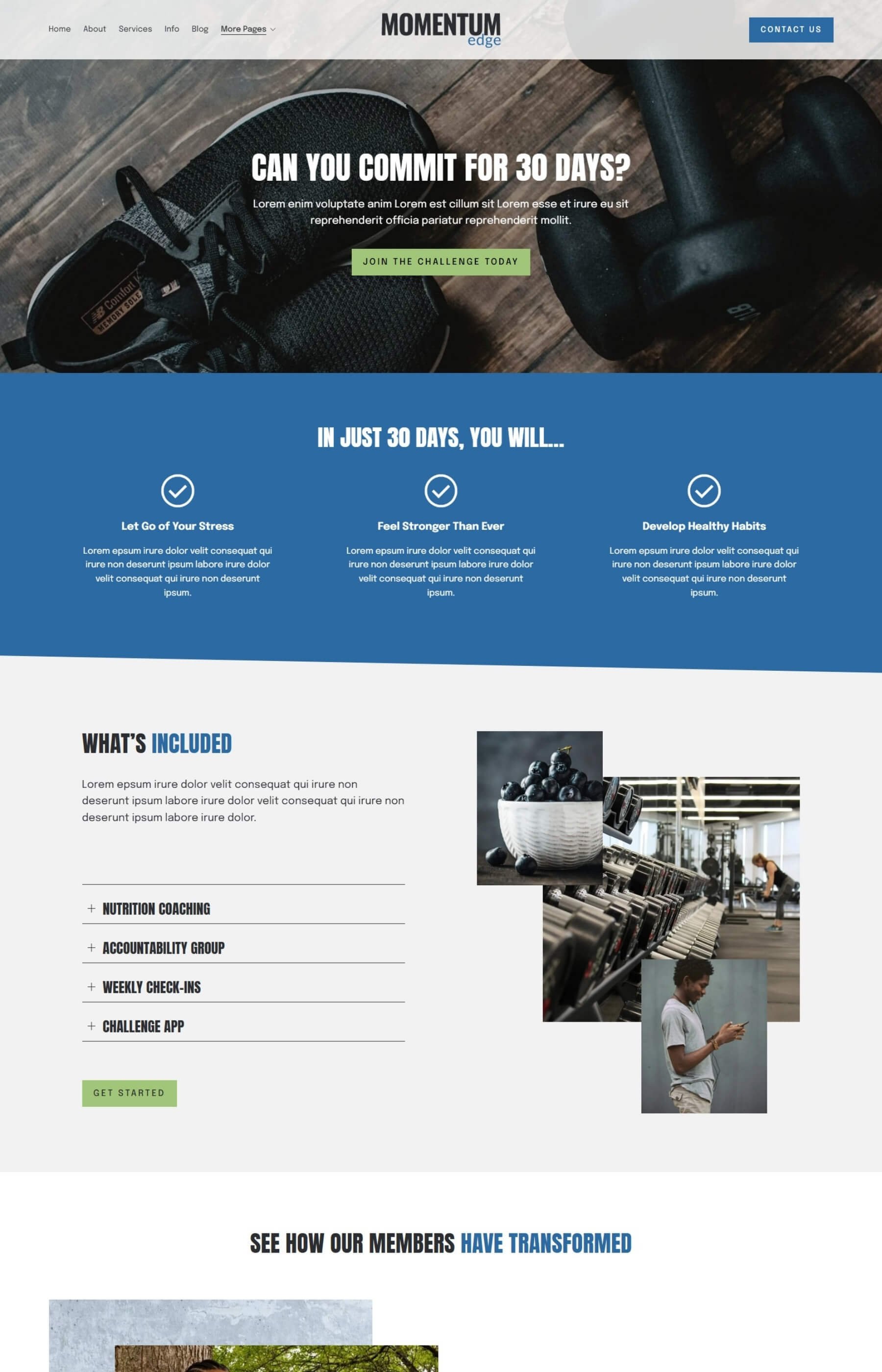 Screenshot of the challenge page inside the Momentum Edge Template