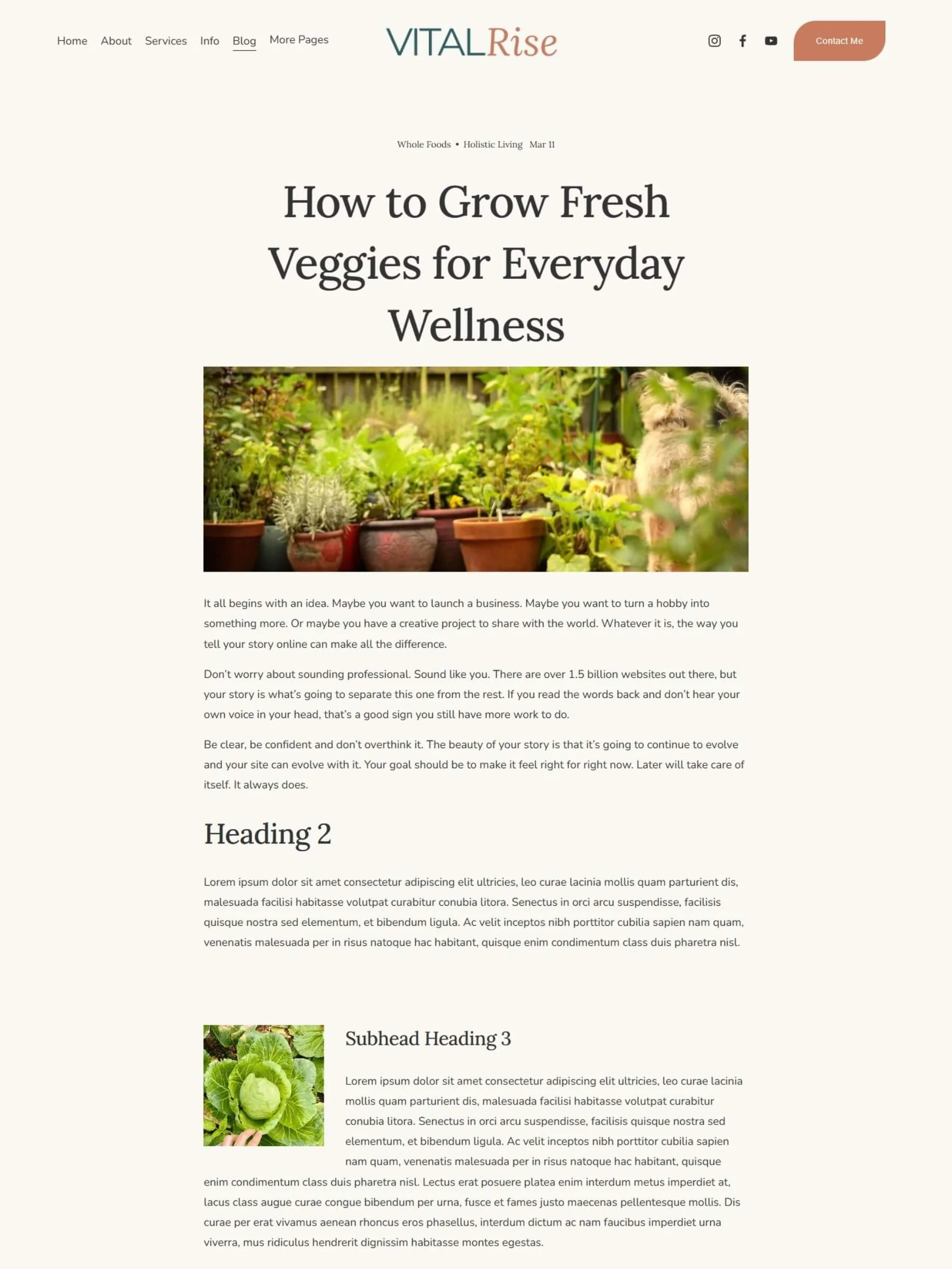 Screenshot of a blog post page inside the Vital Rise Template