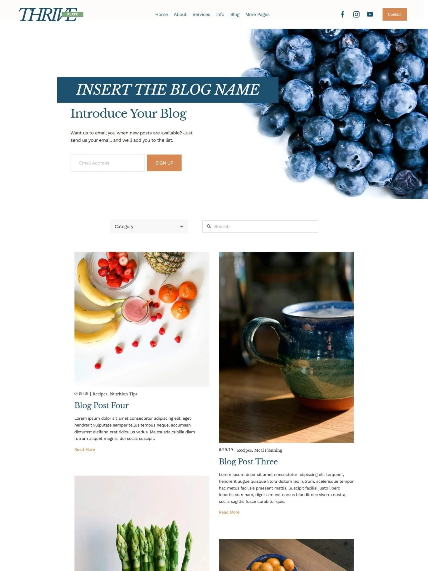 Screenshot of the blog home page inside the Thrive Plate Template