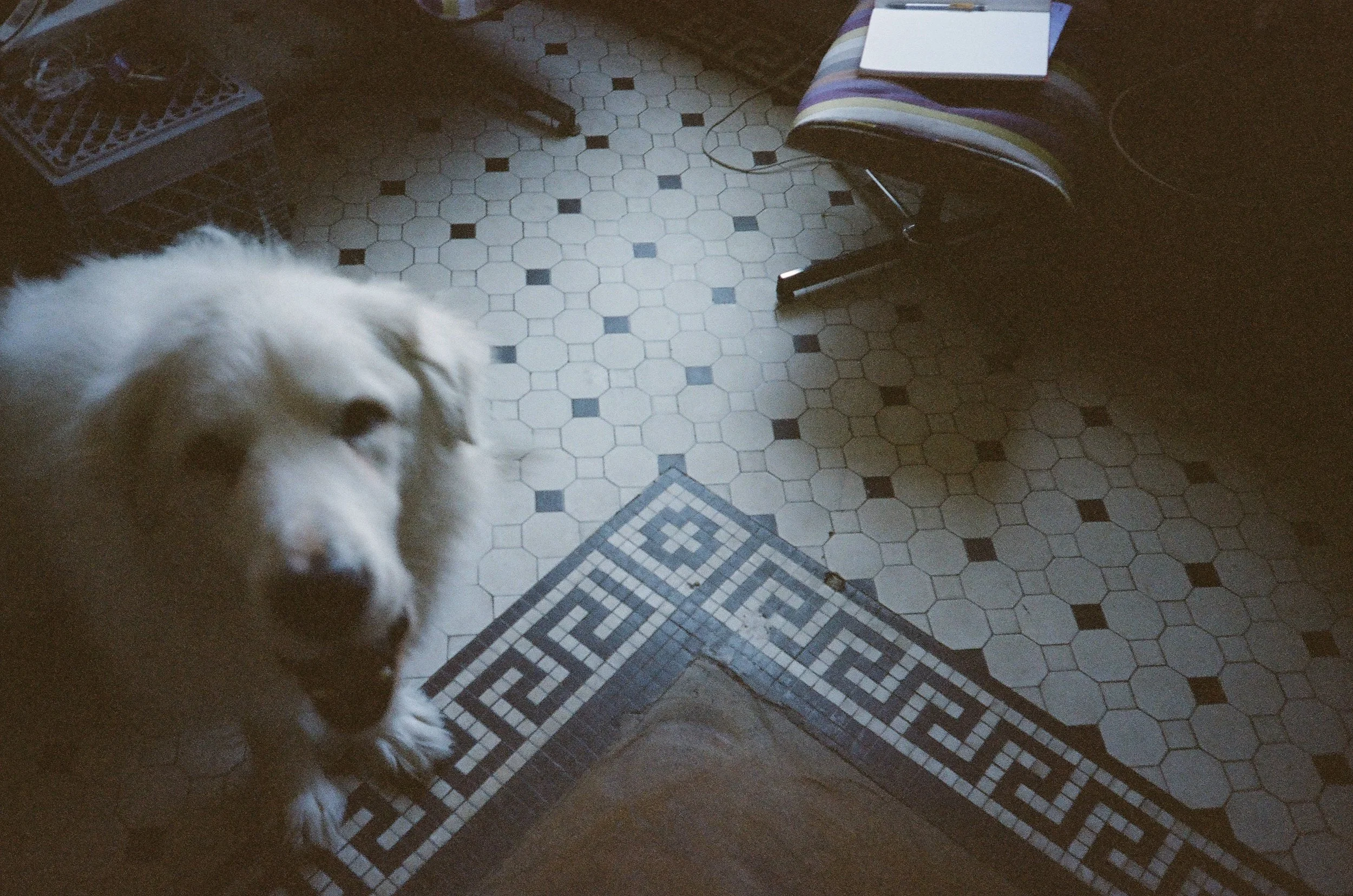 863166_0023.jpg