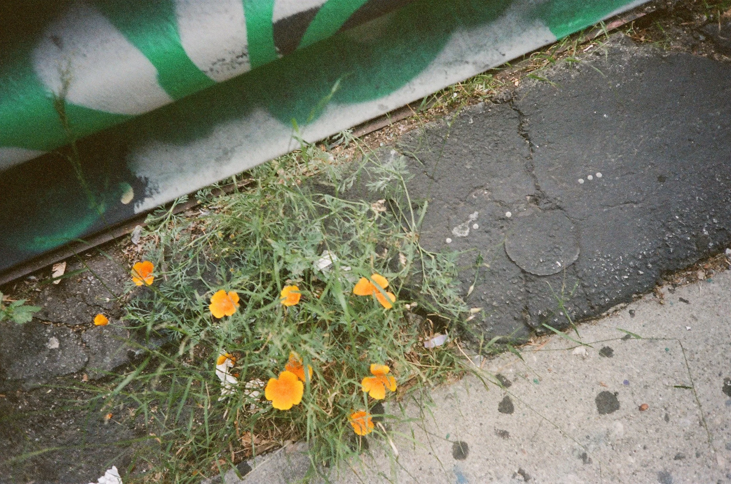 857953_0020.jpg