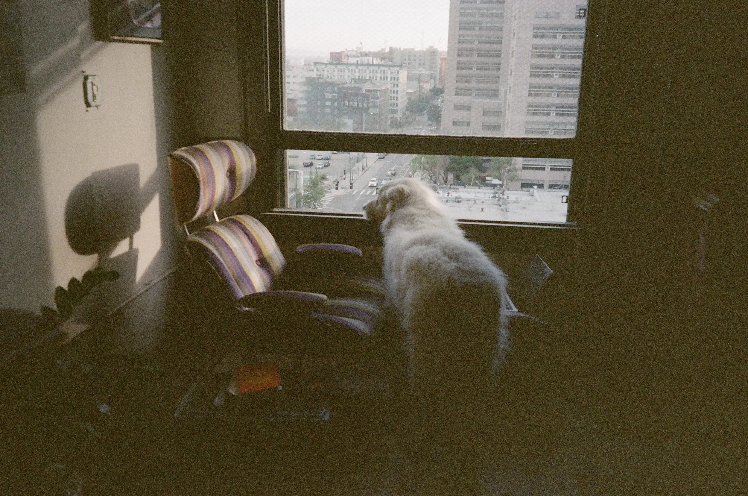 857953_0010.jpg