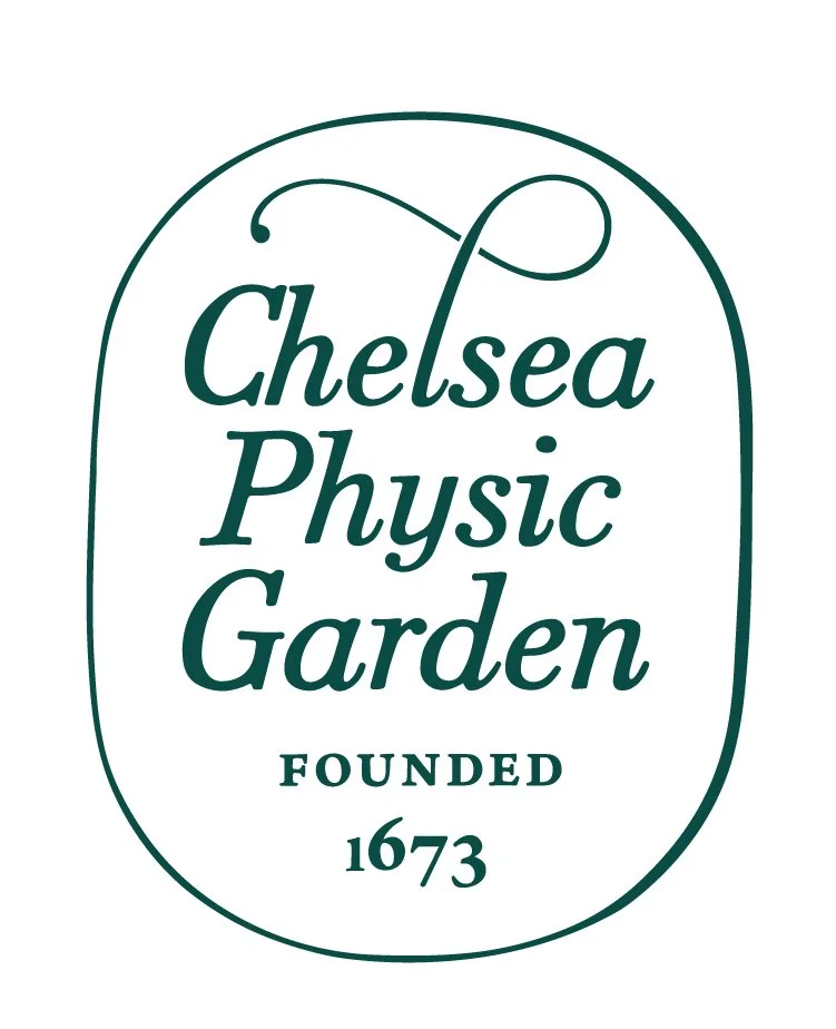 Kimchi and Sauerkraut Making Workshop @ Chelsea Physic Garden
