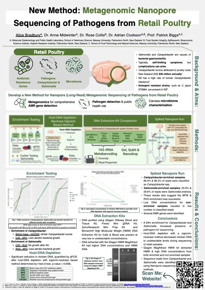 Poster_QRW_AB.jpg