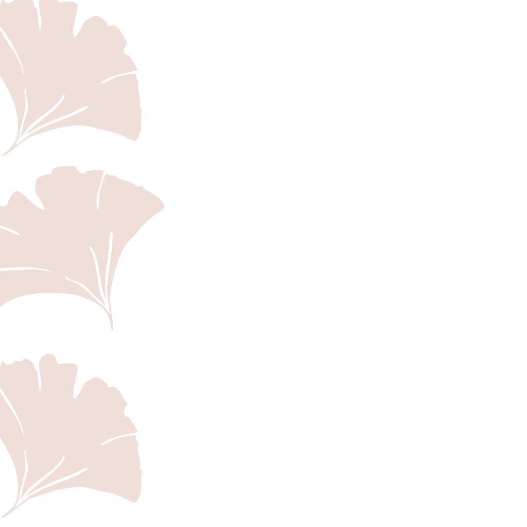 The Nook Family Chiropractic. Chiropractor in Chesapeake Virginia