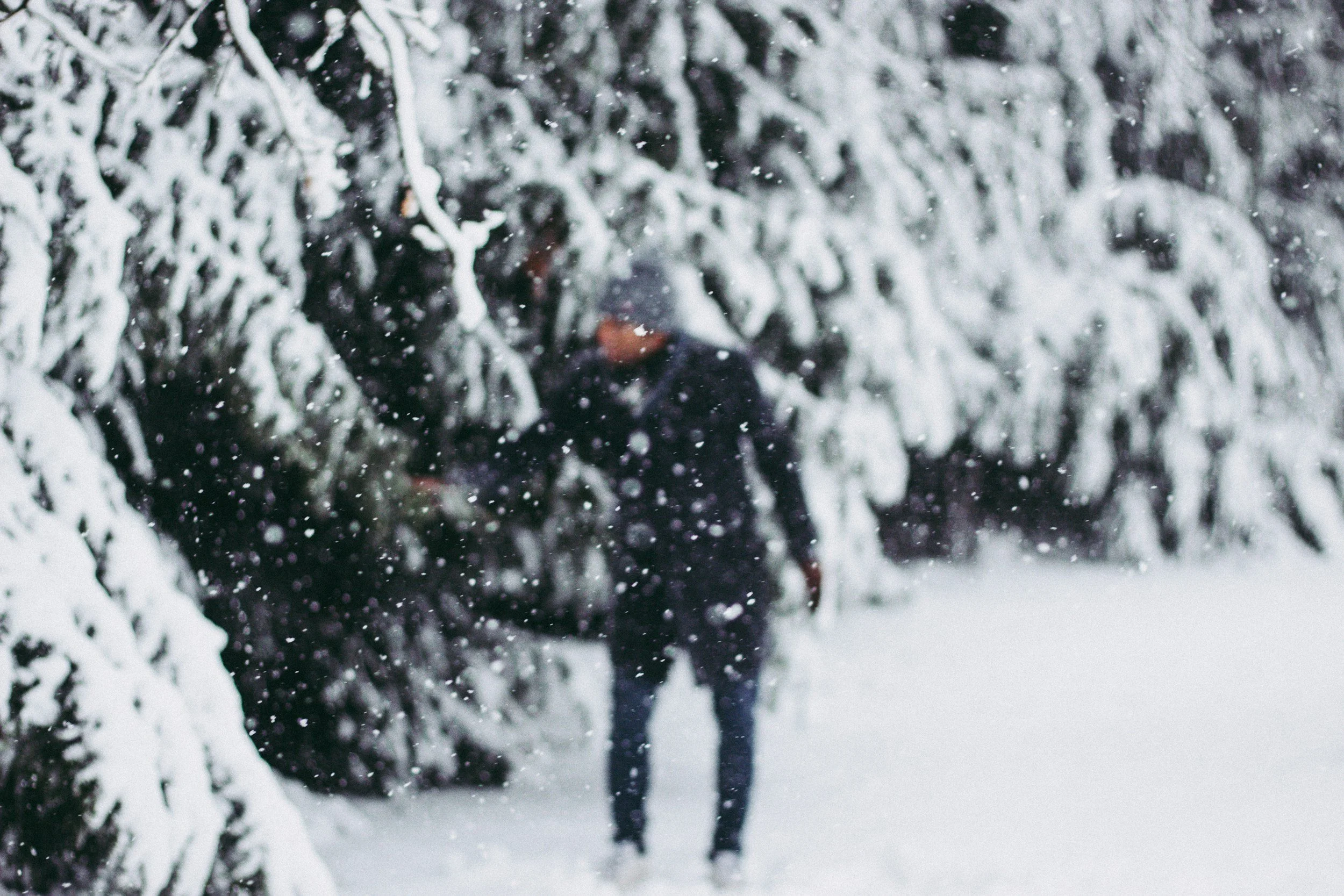 A man going for a walk during a heavy snowfall in a forest.
