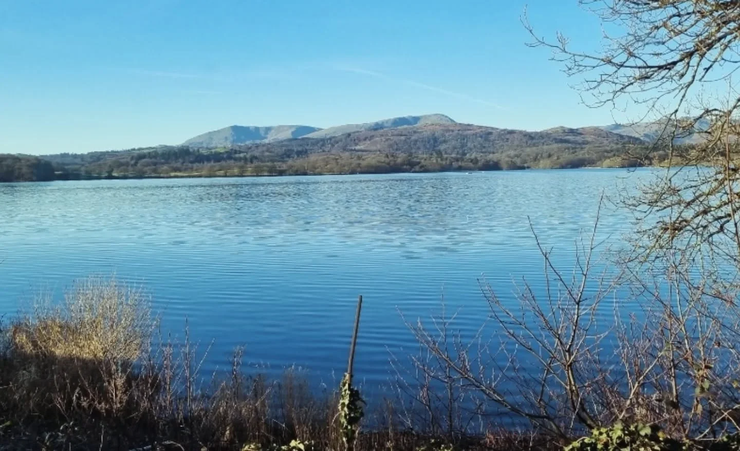 Chandra Diaries🌙 🌚 

✨️ FULL MOON - CANCER ✨️ 

★ Element - Water

★ Duality - Yin

★ Ruling Planet - Moon

★ Chakra - Third Eye / Ajna

Our first Full Moon of 2026, although we know Nature's true New Year isn't actually until the Spring Equinox, w