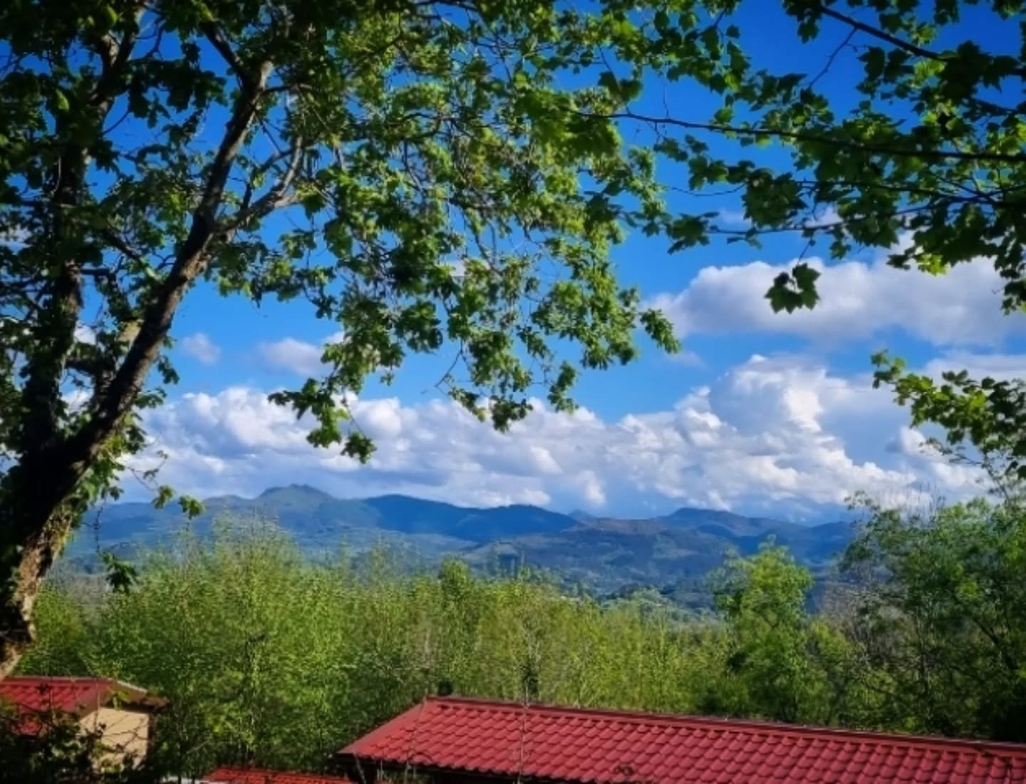 Chandra Diaries🌙 🌚 

✨️ NEW MOON - SAGITTARIUS ✨️ 

★ Element - Fire

★ Duality - Yang

★ Ruling Planet - Jupiter 

★ Chakra - Sacral / Svadhisthana

This Saggitarius New Moon falls at the same time as the Winter Solstice, bringing a beautiful warm