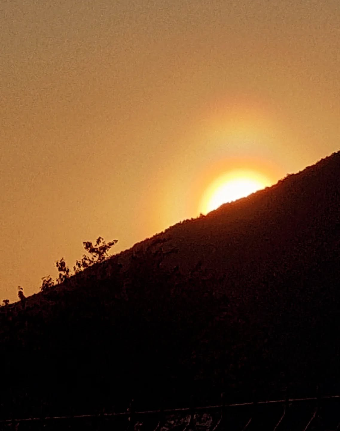 Winter Solstice ❄️ 

Solstice means 'Sun Stands Still' - a sacred turning point, honoured by many cultures across the world. A moment when Darkness reaches its peak, just before the Light begins its return 🌞

The longest night and the shortest day, 