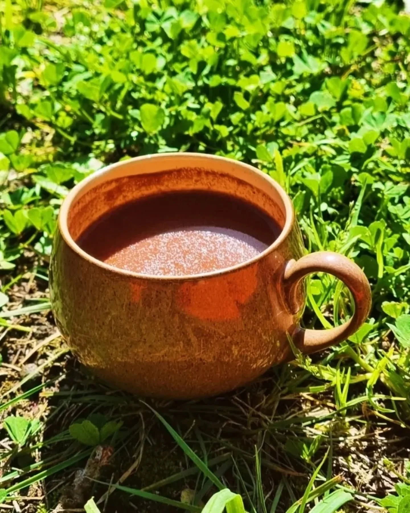 Ceremonial Cacao 💚

I am offering Ash&aacute;ninka Criollo Cacao from the Peruvian Amazon, ethically sourced from small, traditional farm with farmers who preserve ancestral wisdom, hold this plant medicine in ceremony and protect their rainforest h
