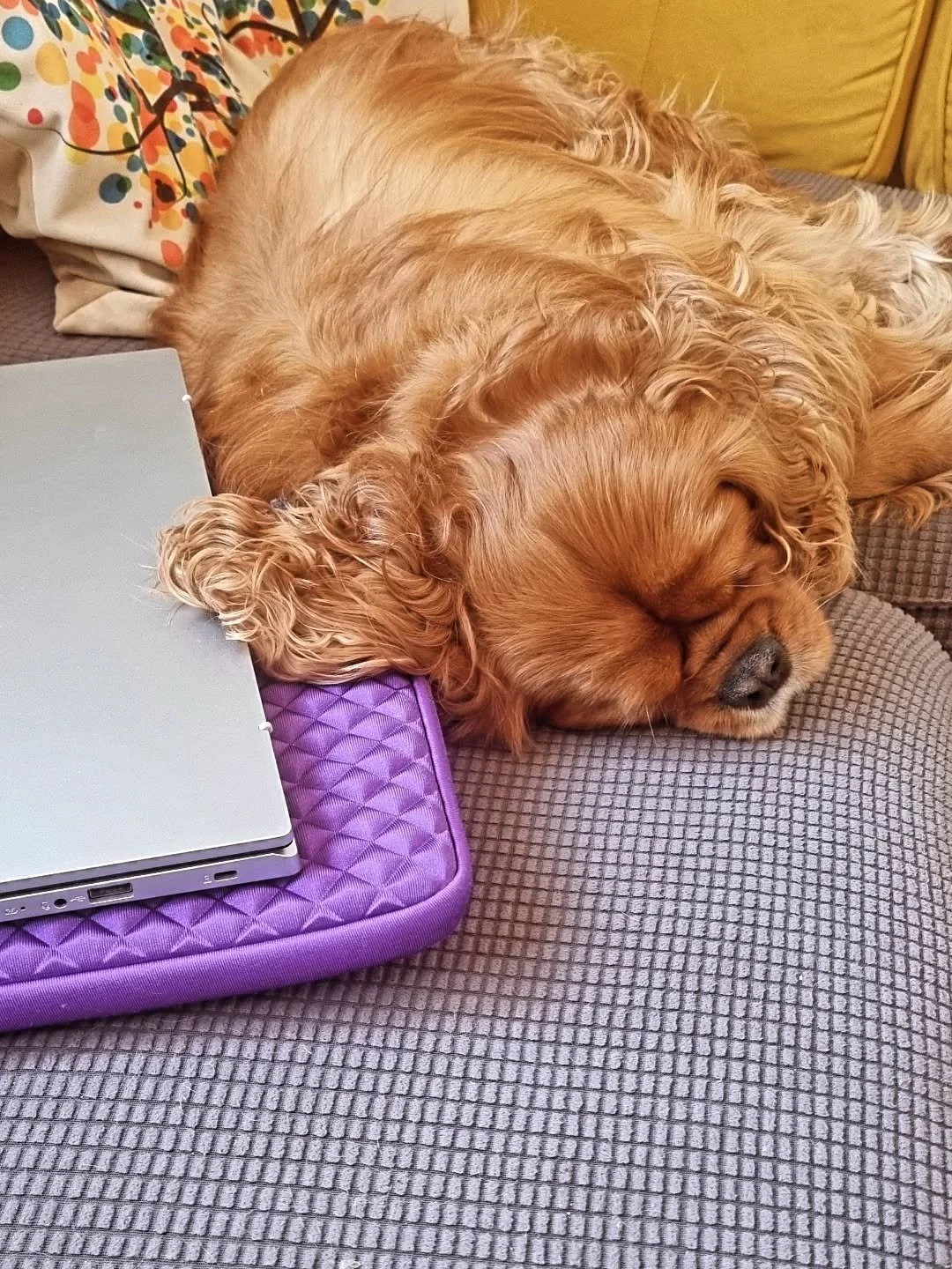 THE ADMIN PUP HAS HAD ENOUGH 💤 

On the bright side, he's finished his work for the day...
All new upcoming EVENTS are now available to book on the website 🫶

 ✨️ https://www.findingyourbalance.uk/events ✨️