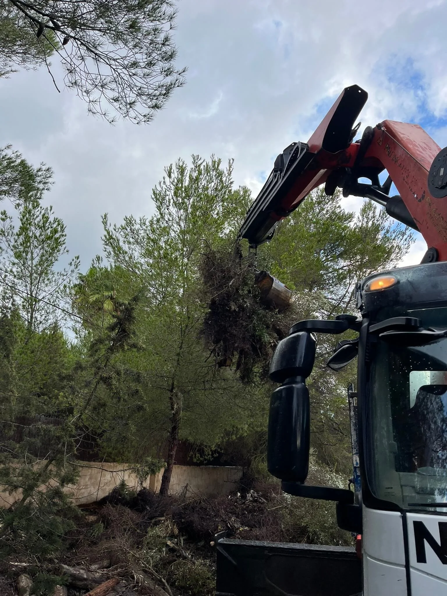 Why Organic Waste Removal and Green Mulching Matter More Than Ever in Ibiza
