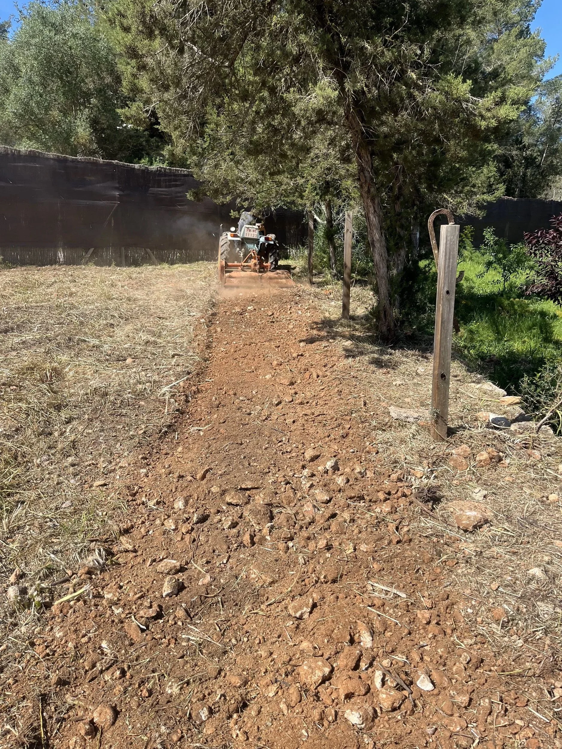Preparing the land with the tractor for sowing and planting in San Rafael, Ibiza