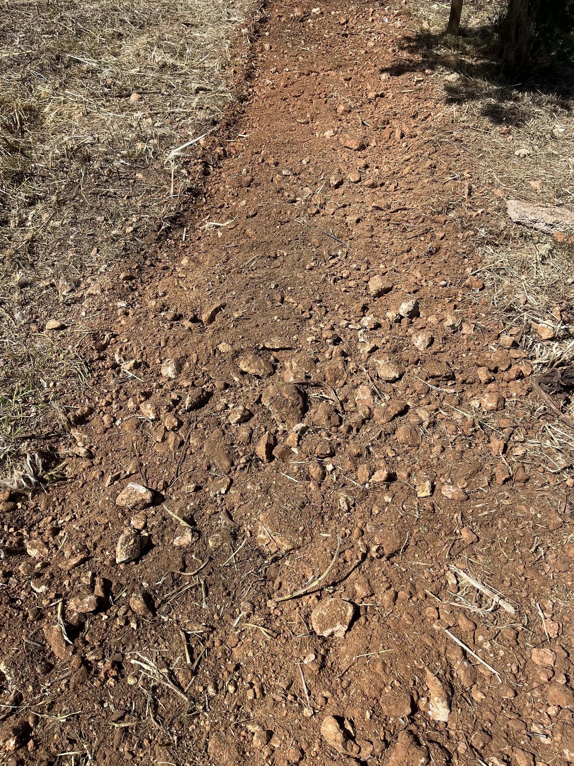 Removing stones to improve soil conditions in San Rafael, Ibiza.