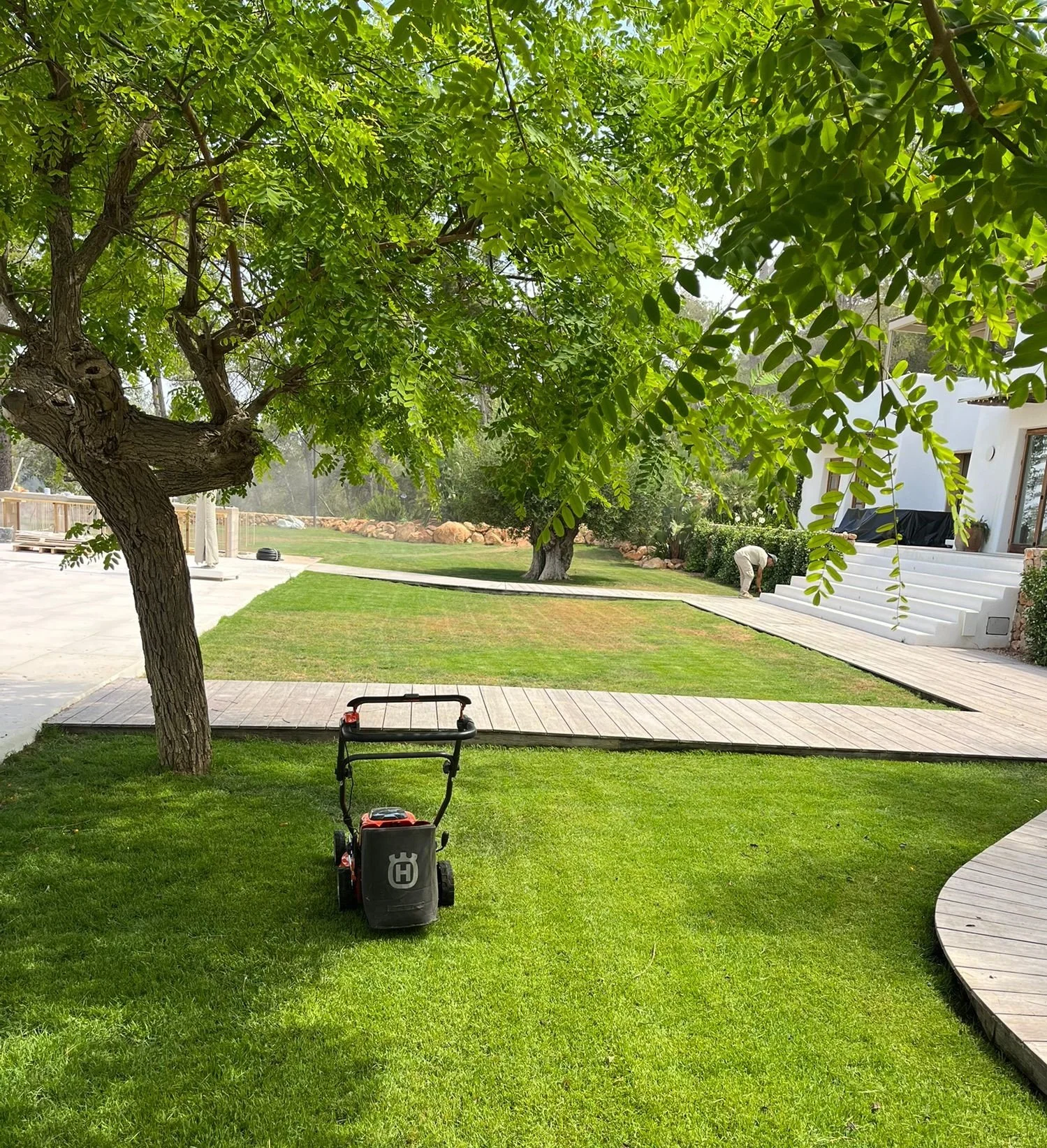 Freshly cut lawn and fertilize lawn in Ibiza Villa