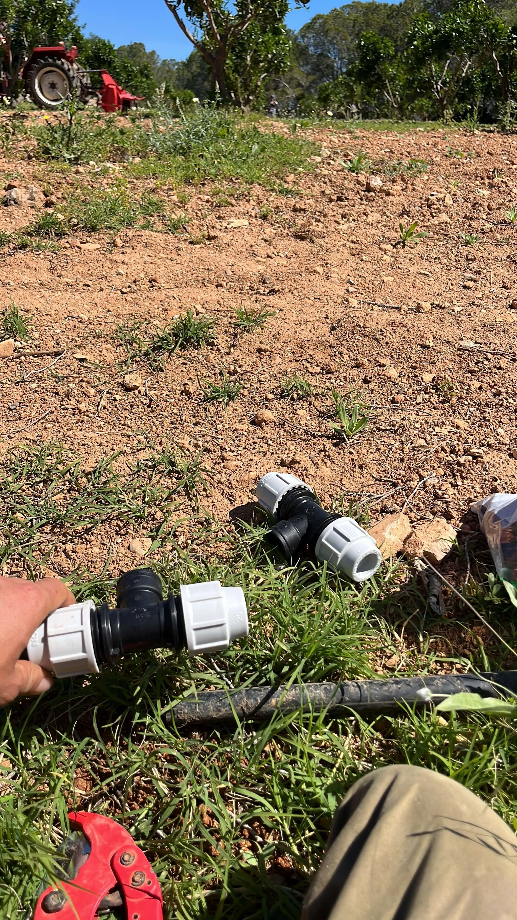 Improvement and optimisation of the irrigation system throughout the entire property, with special attention to the orange orchard.