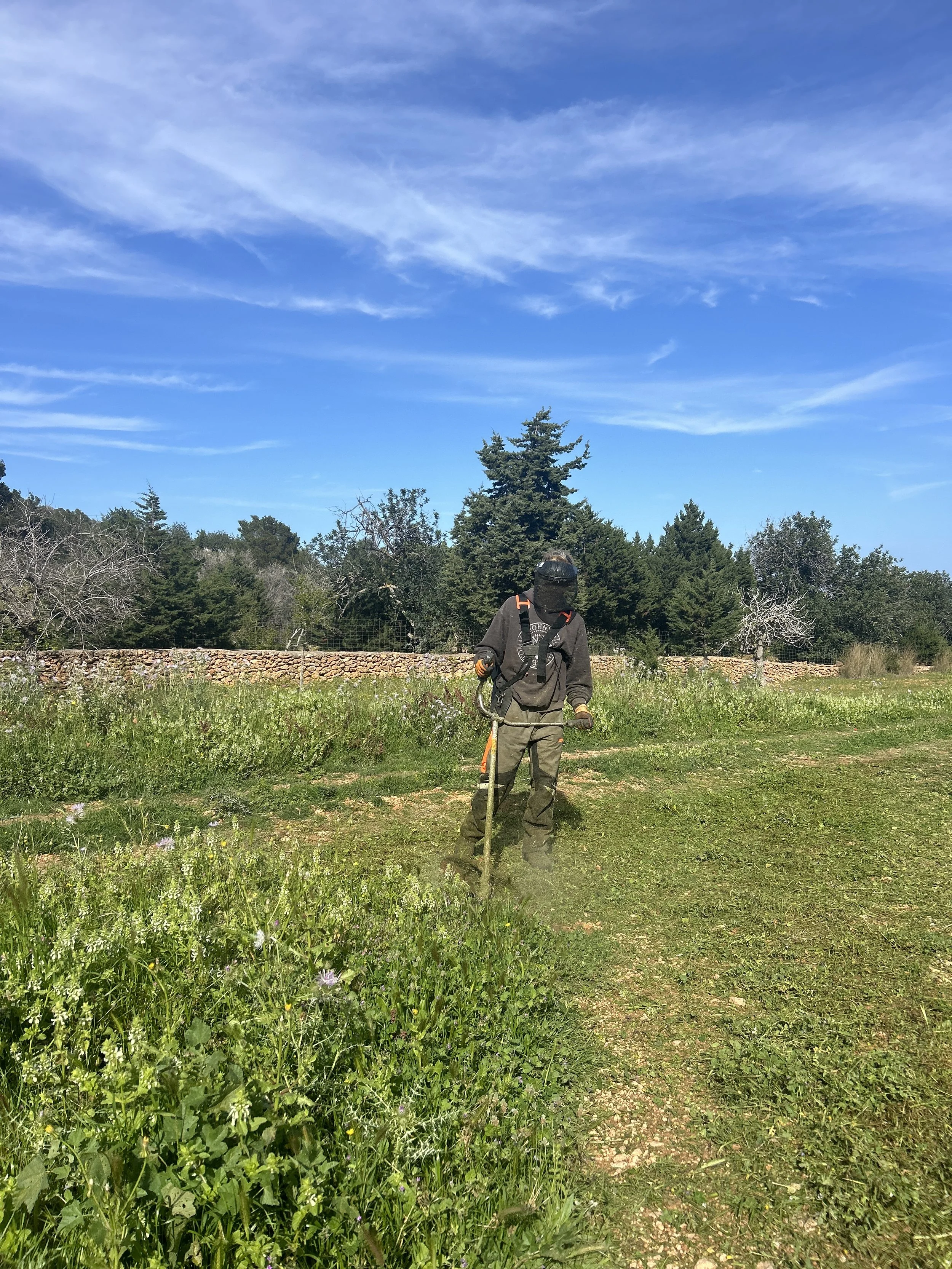 Forest and property clearance - Desbroze