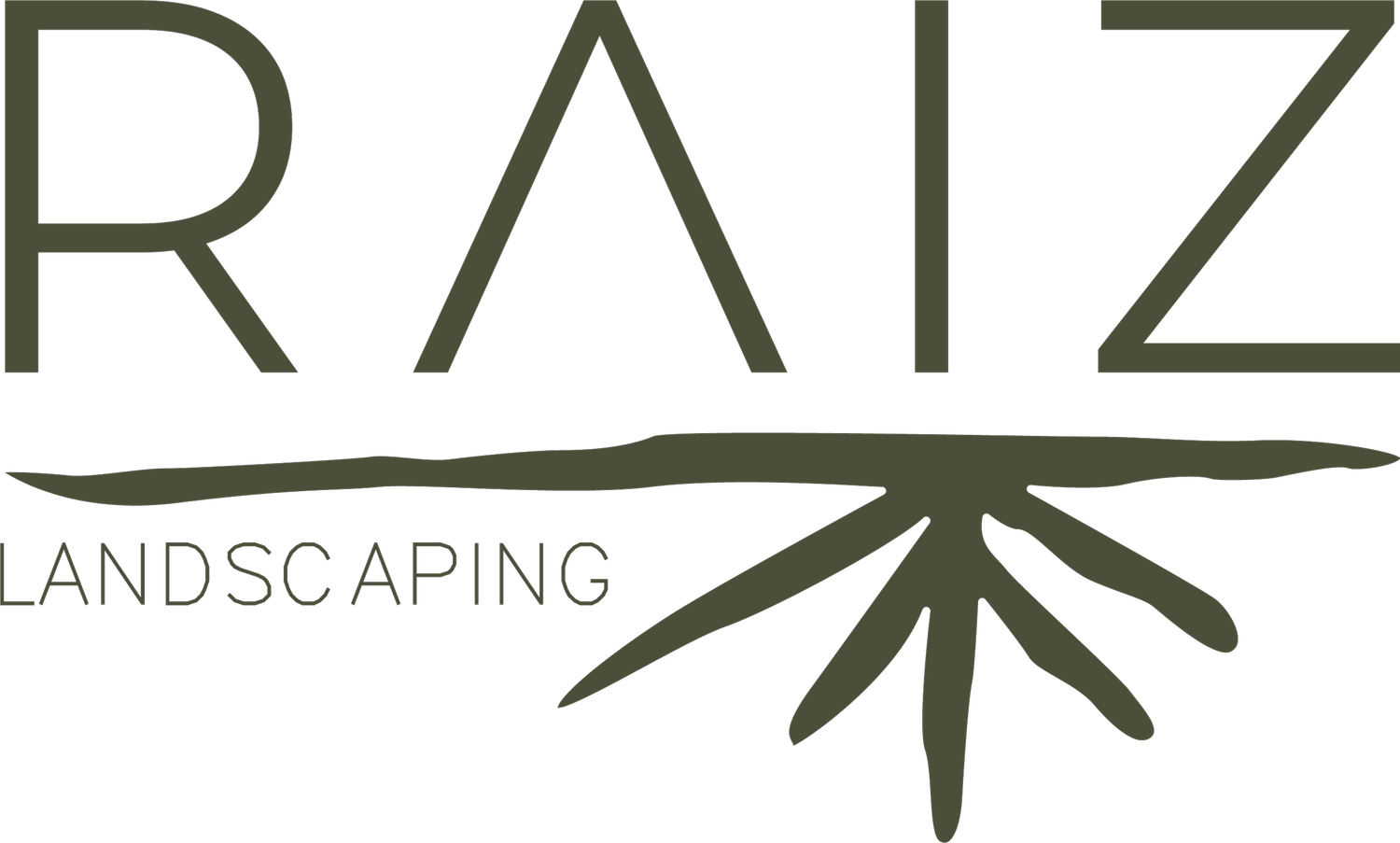Raíz Landscaping &amp;  Design