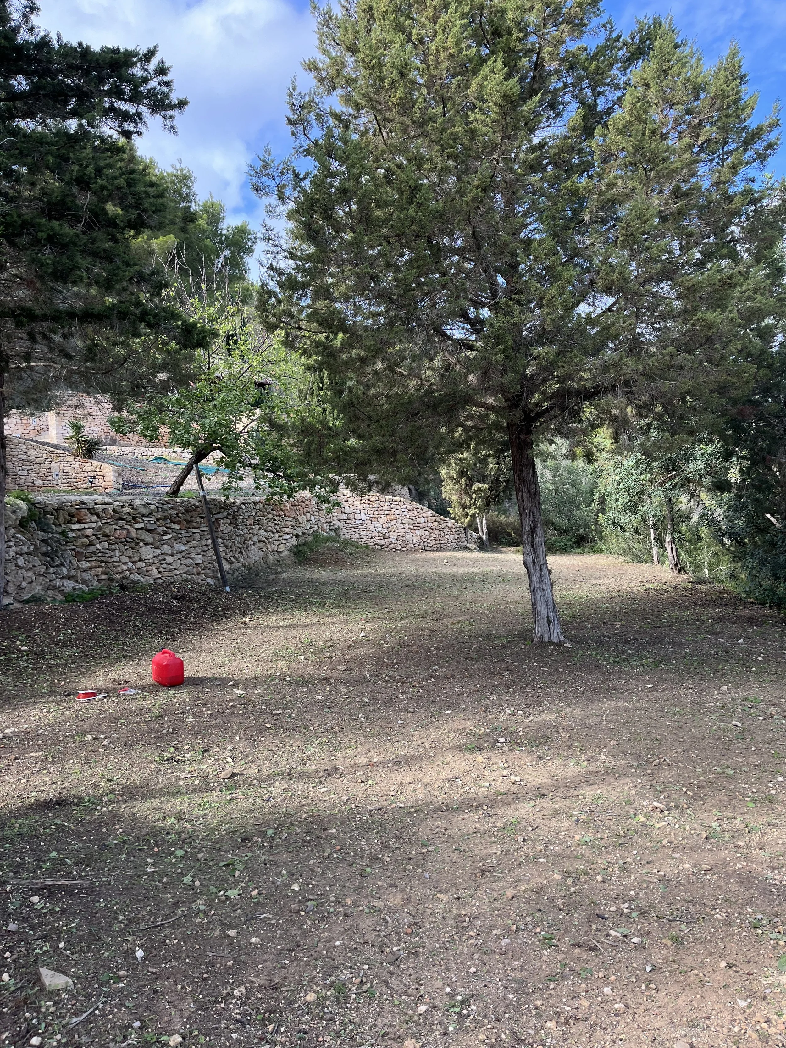 Fire prevention cleanup in Ibiza