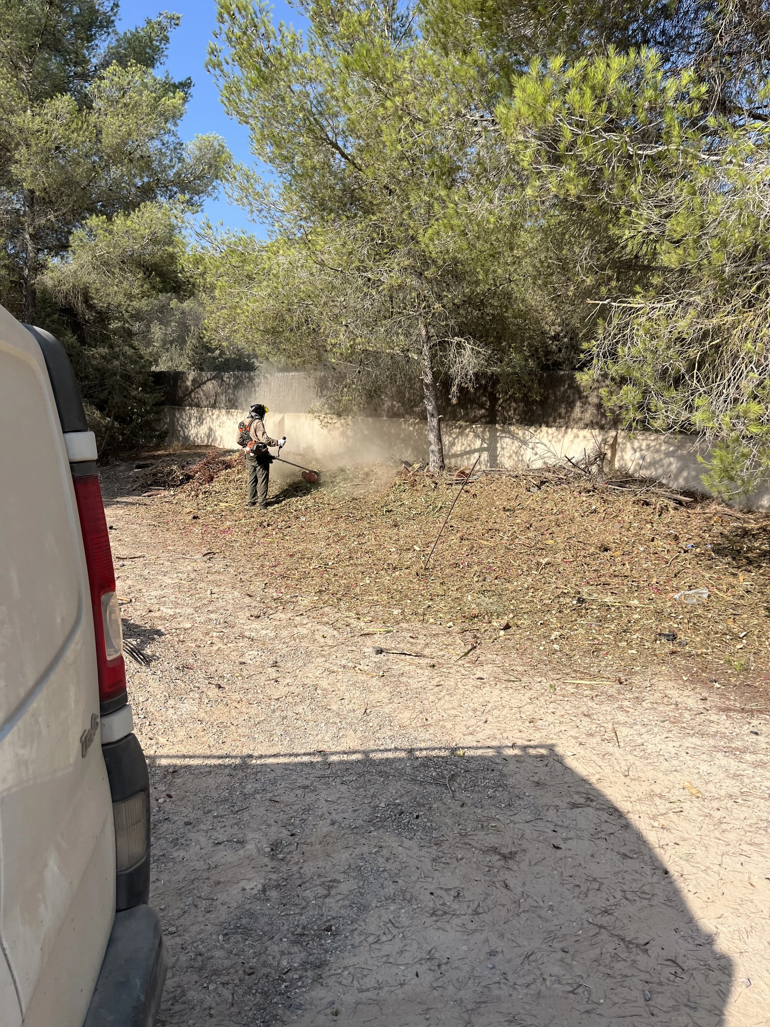 Brush clearing