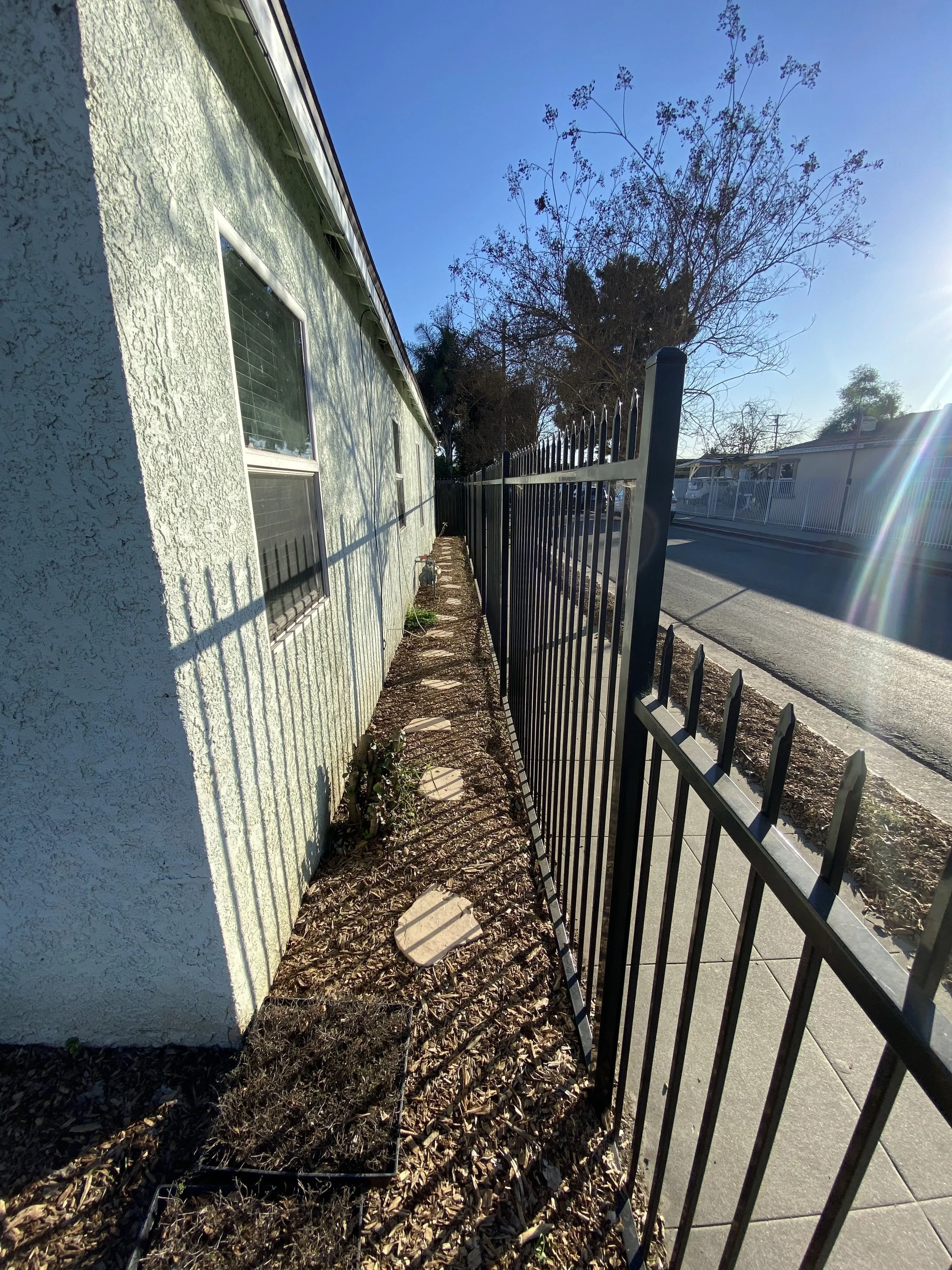 Side view of a house with two small windows, a metal fence, a narrow dirt strip with dried leaves, and a sidewalk, with a large tree in the background and a clear blue sky.