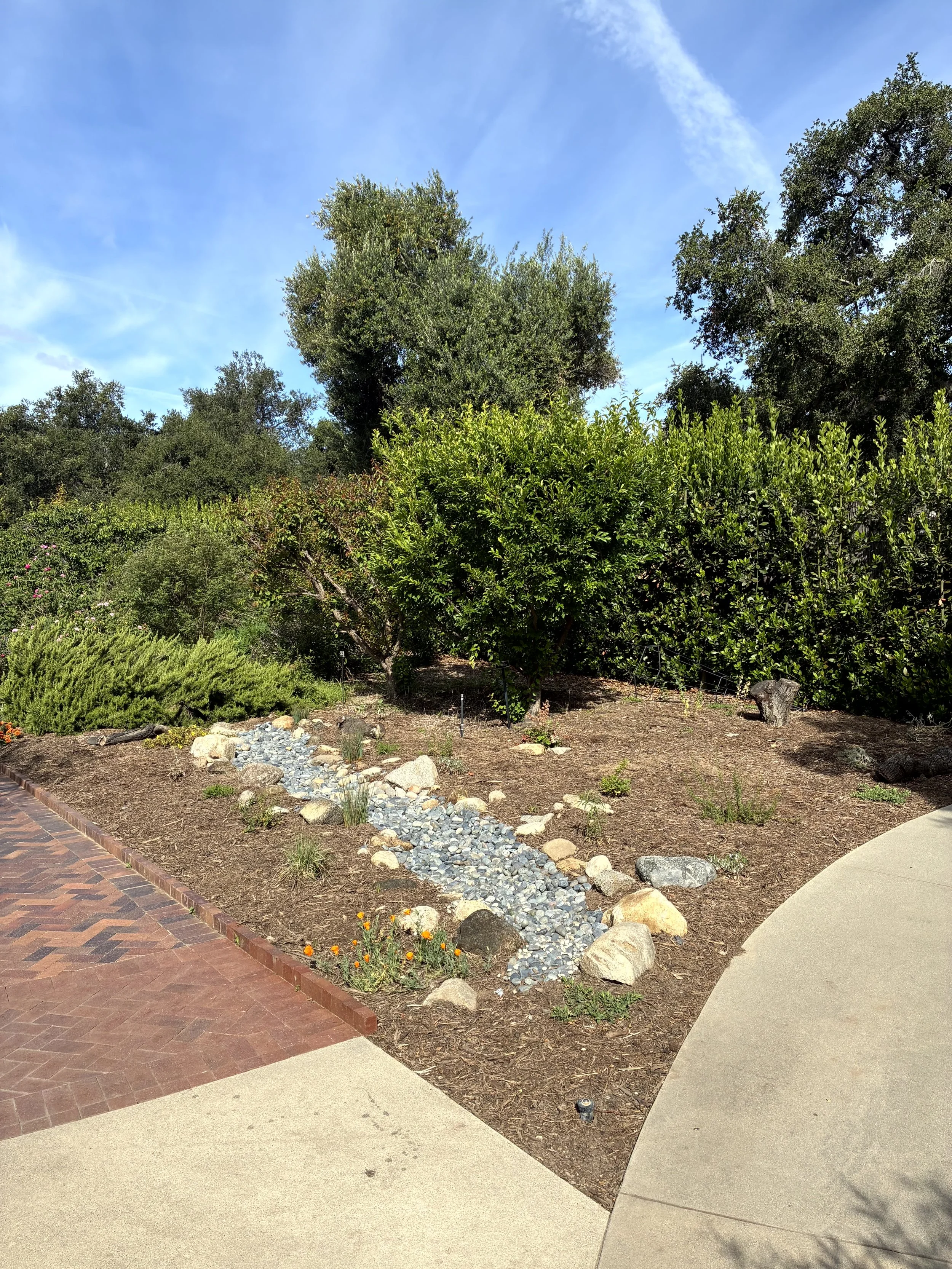A landscaped area with trees, bushes, and plants, bordered by a brick walkway and a concrete path under a partly cloudy blue sky.