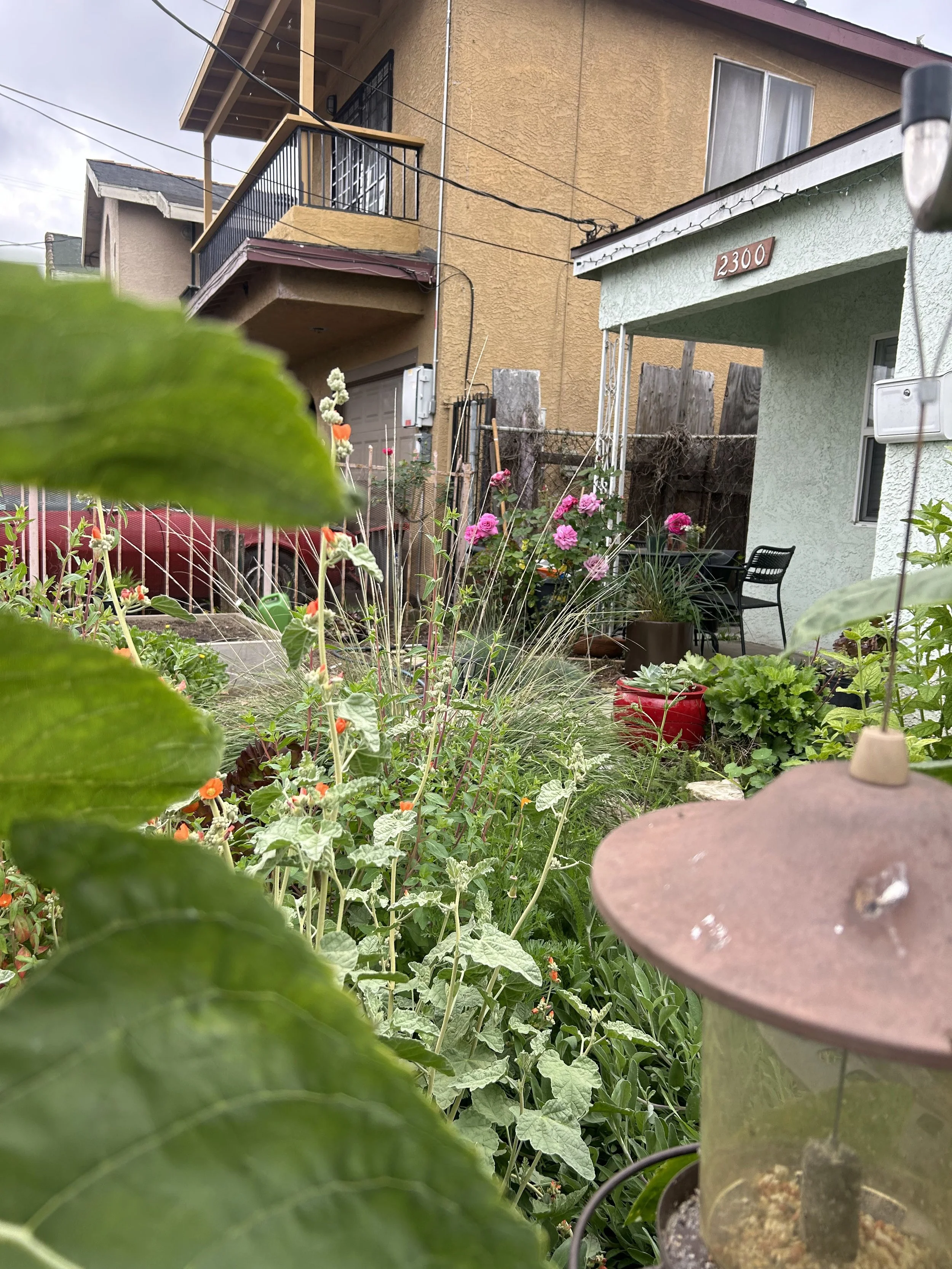 A view of a house and garden with flowering plants, a bird feeder, and a neighboring house with balconies and windows.
