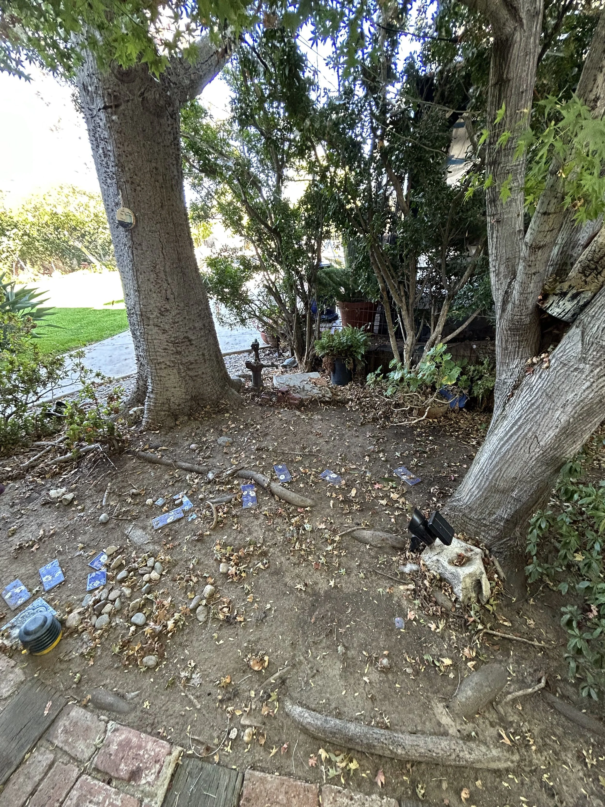 A backyard with trees, plants, a brick and wood patio, scattered leaves, a black outdoor light, rocks, and some tarps or cloths on the ground. There's yard debris and a garden hose on the dirt area.