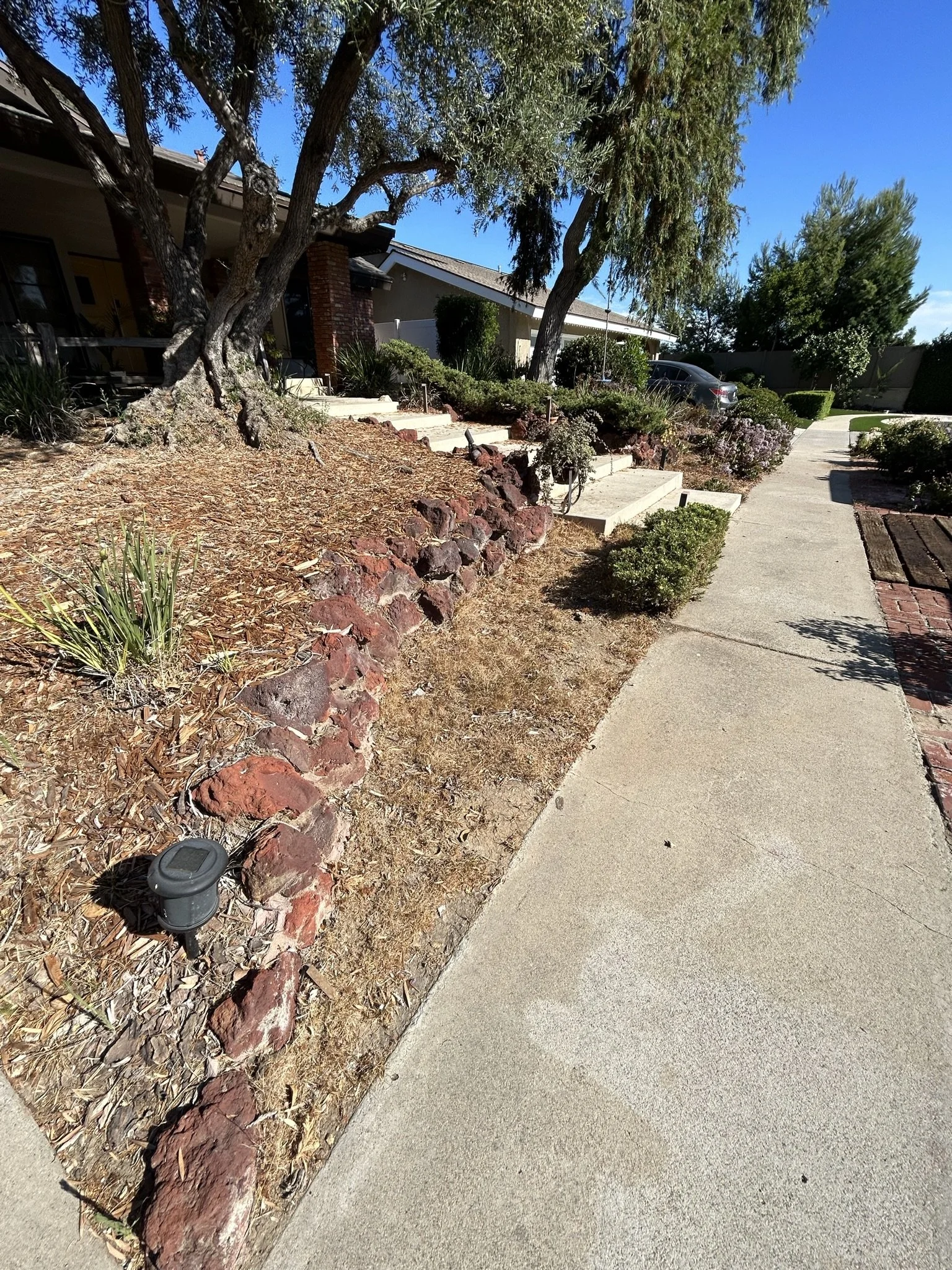 Sidewalk leading past landscaped garden with trees, shrubs, and rocks near a house with brick and painted walls, and parked cars in the driveway.