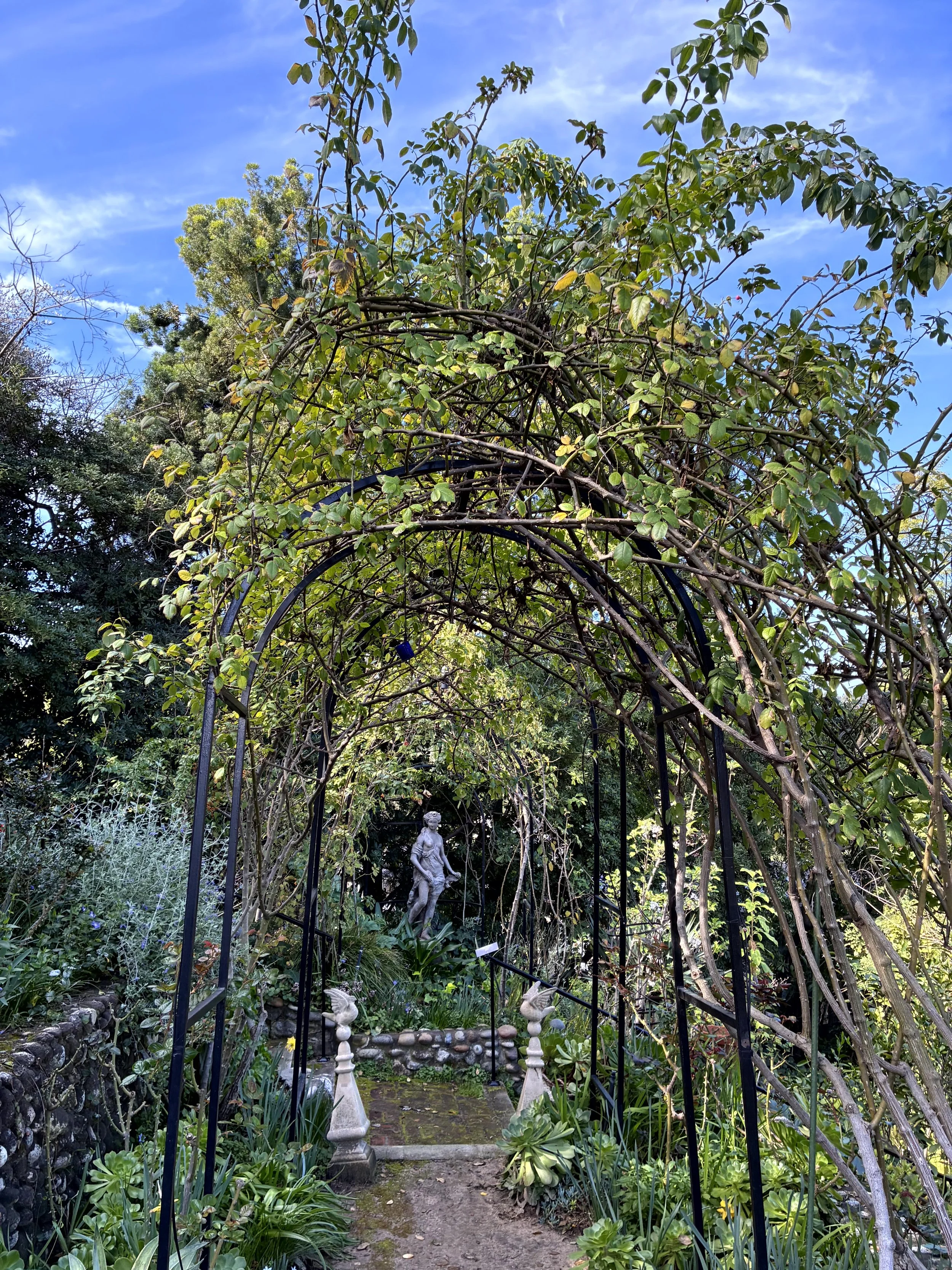 A garden scene with a metal archway covered in green leaves, leading to a small pathway with statues and decorative elements, surrounded by various plants and trees under a blue sky.