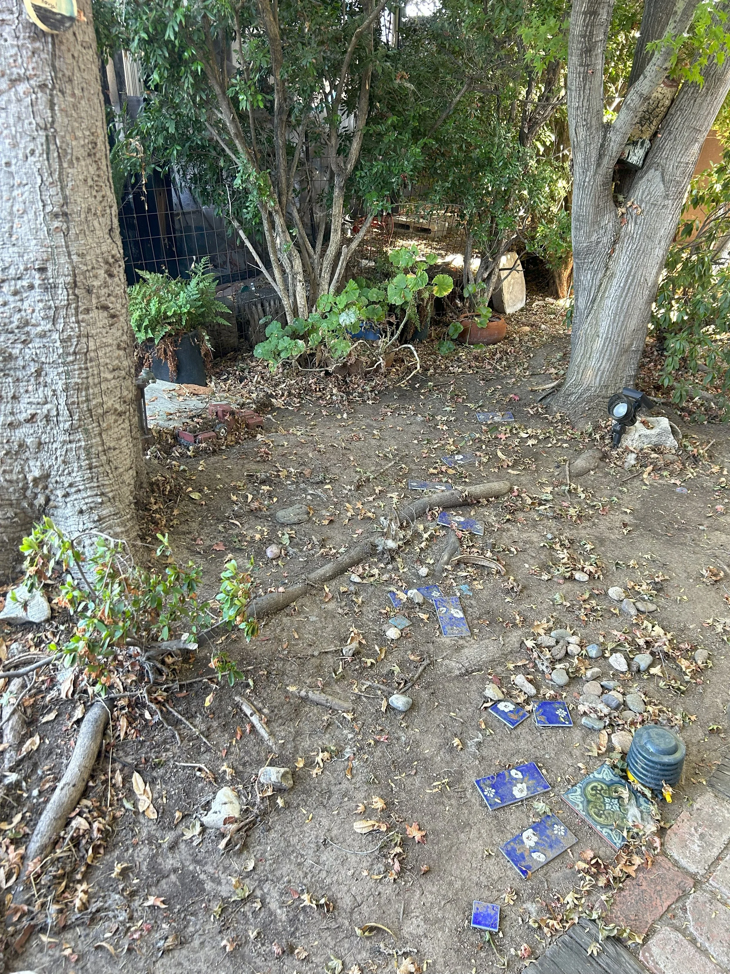 A backyard garden area with a dirt ground, dry leaves, and scattered blue ceramic tiles. There are large trees, bushes, and a wire fence in the background, along with a spotlight on the ground. Various gardening pots and stones are also visible.