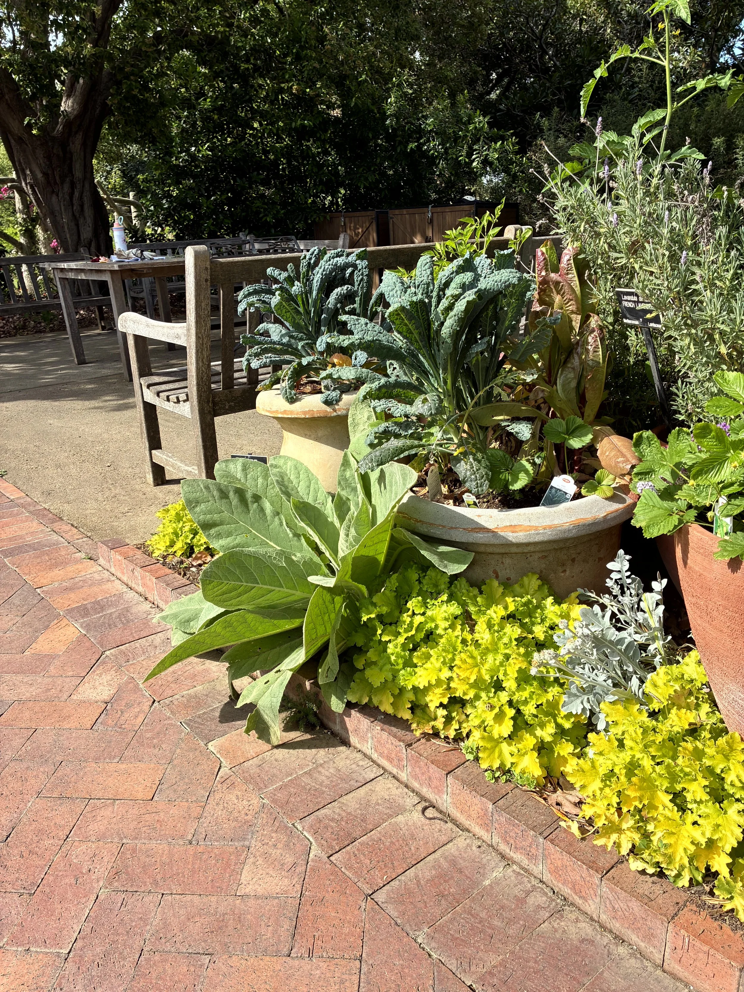 A garden scene with potted plants, a brick sidewalk, and outdoor furniture in front of a large tree with dense foliage.