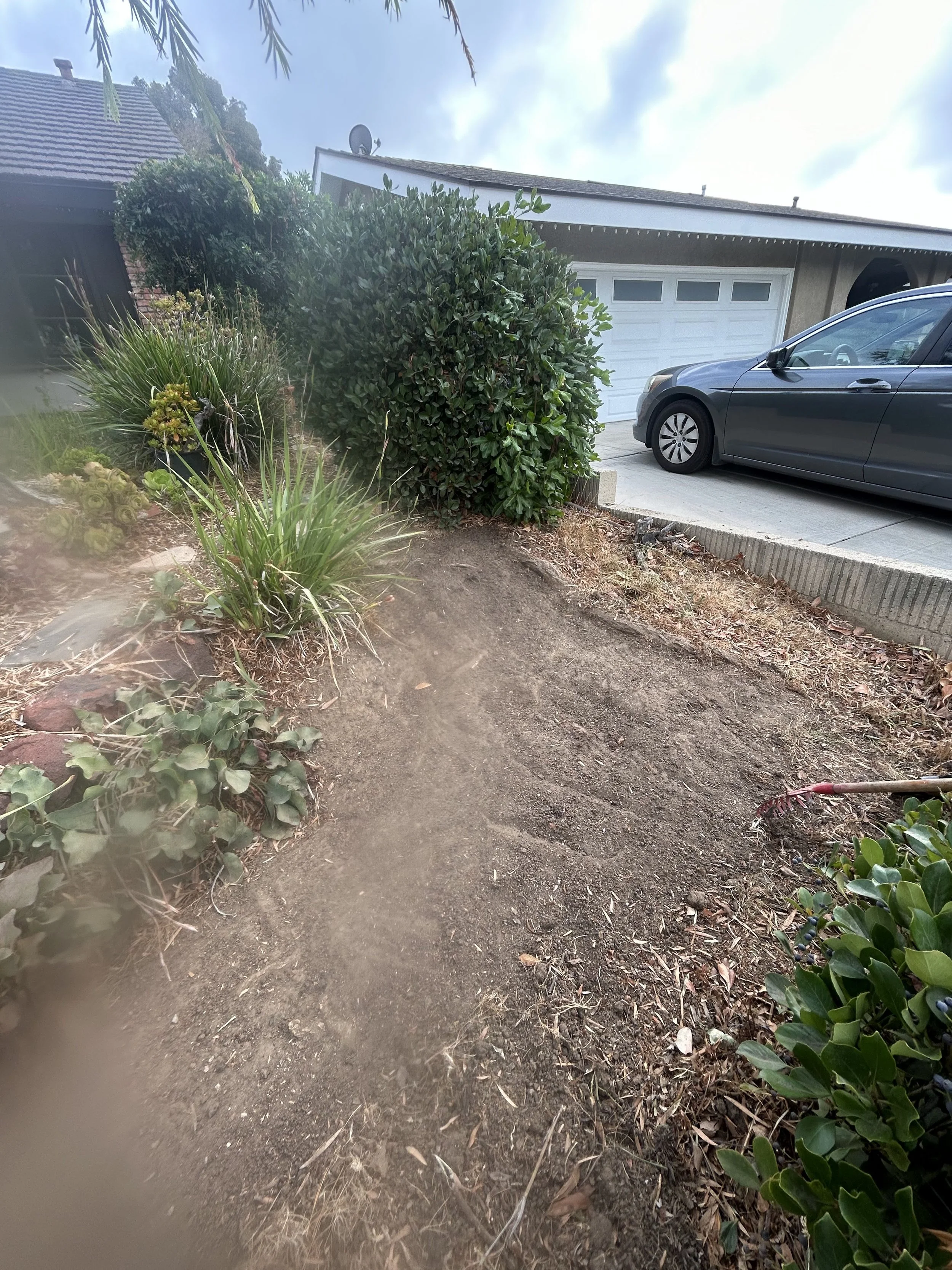 A residential outdoor scene featuring a dirt pathway and various bushes and plants. In the background, there is a house with a white garage door and a parked dark gray car on the driveway.
