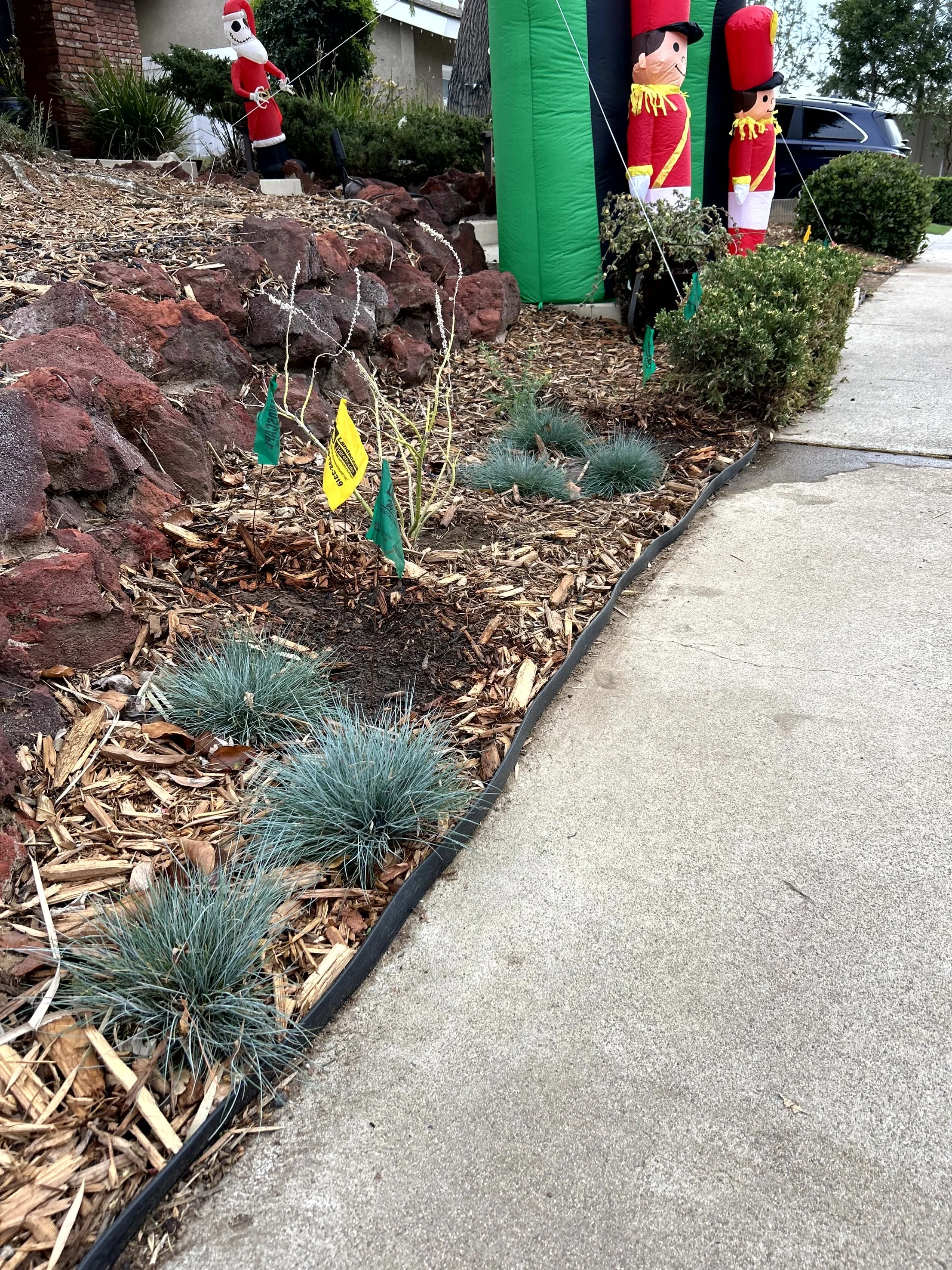Front yard decorated with inflatable Christmas figures, including a large Nutcracker, two toy soldiers, and a Santa Claus holding a fishing rod, surrounded by bushes, rocks, mulch, and a sidewalk.