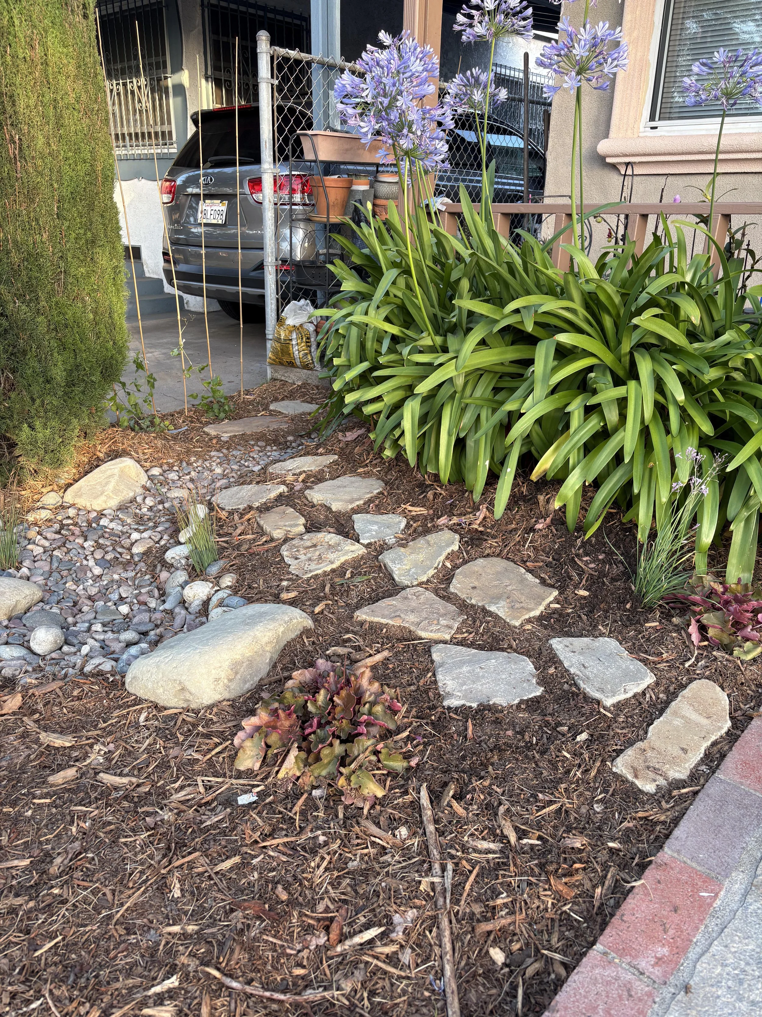 A trail of stepping stones on a garden bed with mulch, plants, and some large rocks, leading to a fence, a driveway, a parked car, and a house with a window.