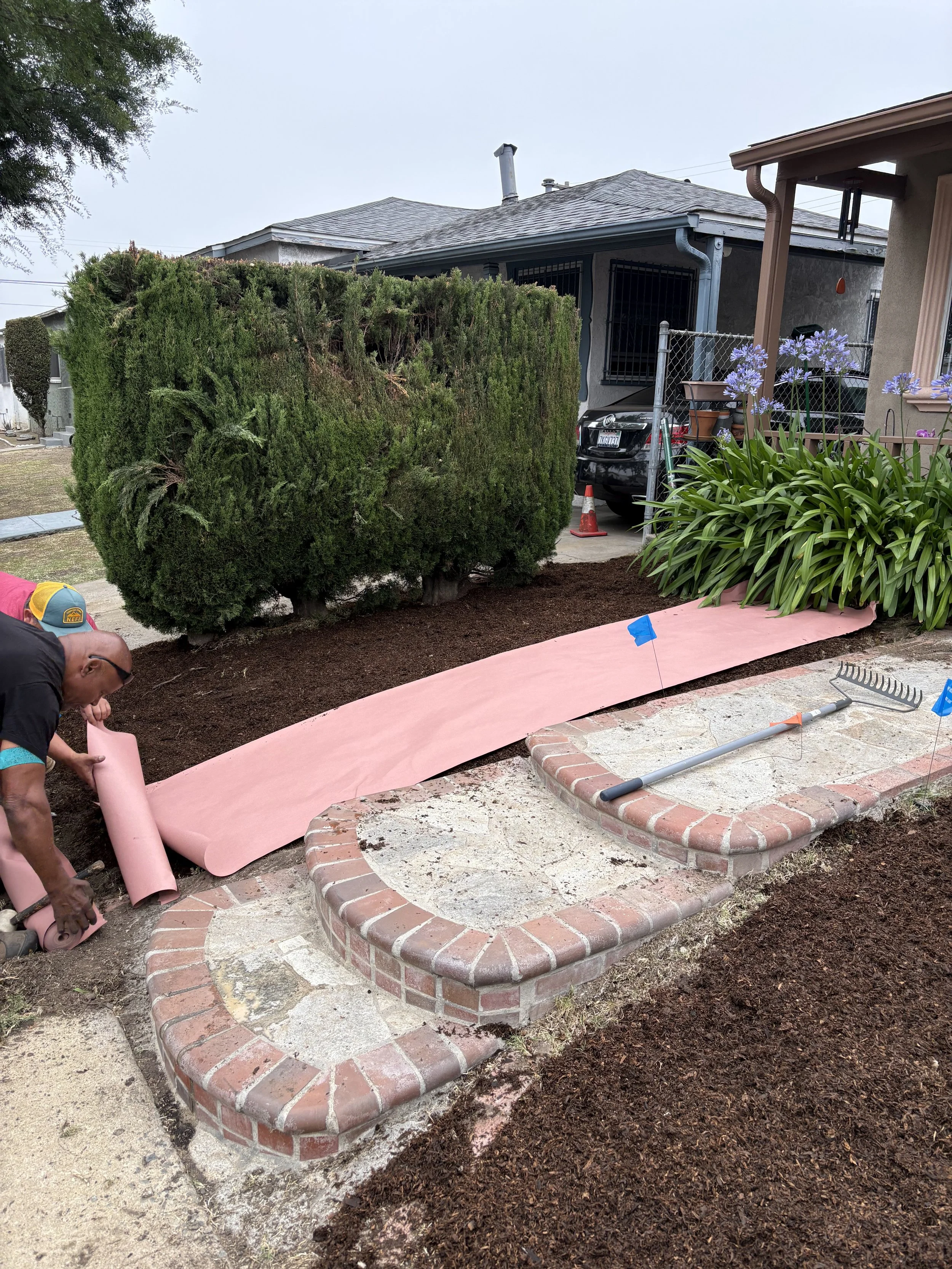Man working on a garden bed with a brick border, laying down painters paper, in front of a house with green bushes and purple flowering plants.