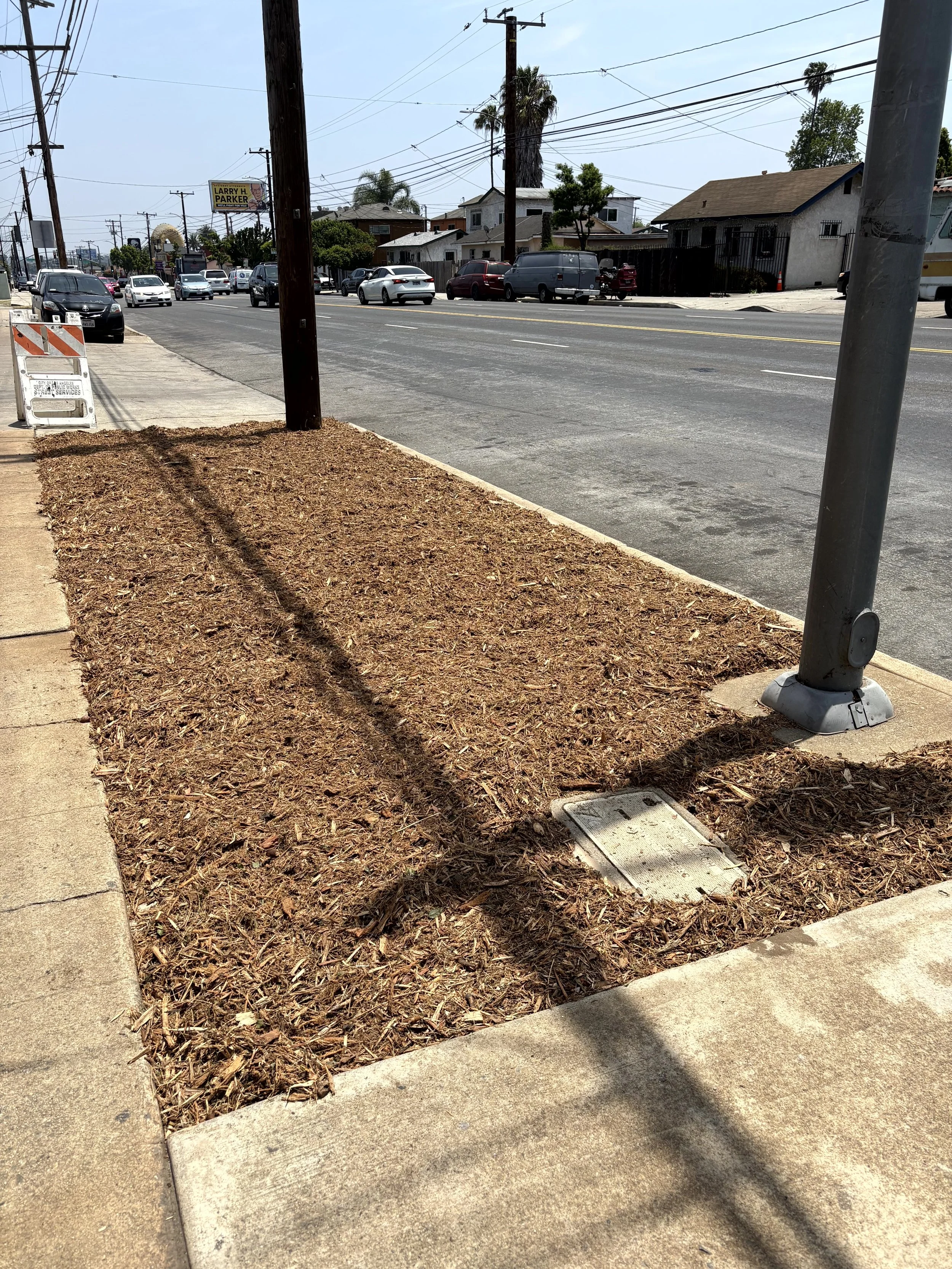 Sidewalk with a small patch of dirt and mulch, a utility box, a metal pole, and some shadows on the concrete. In the background, there are parked cars on the street, utility poles with wires, houses, and a billboard.