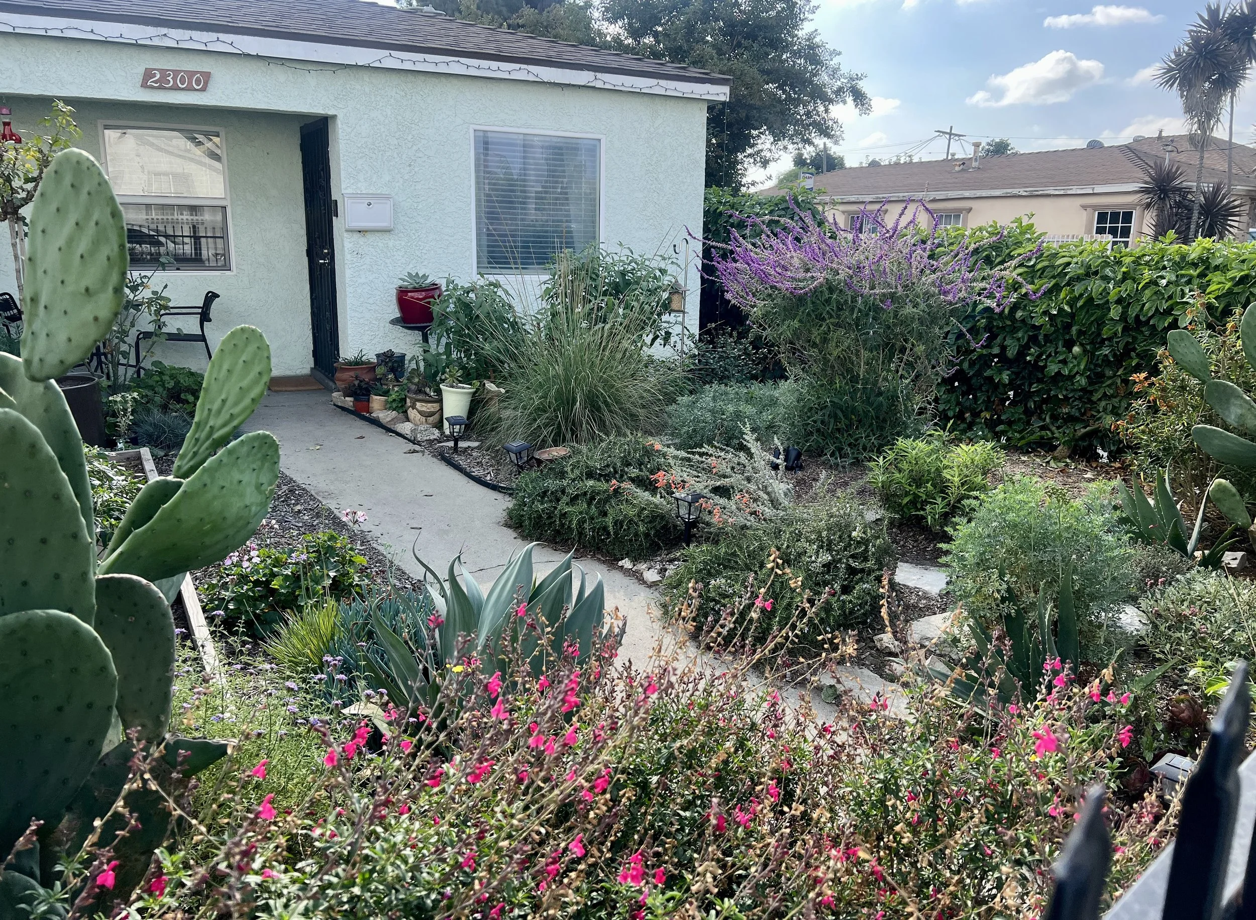 A house with a green exterior, surrounded by a lush garden filled with various plants and flowers, including purple blooming bushes and prickly pear cactus in the foreground.