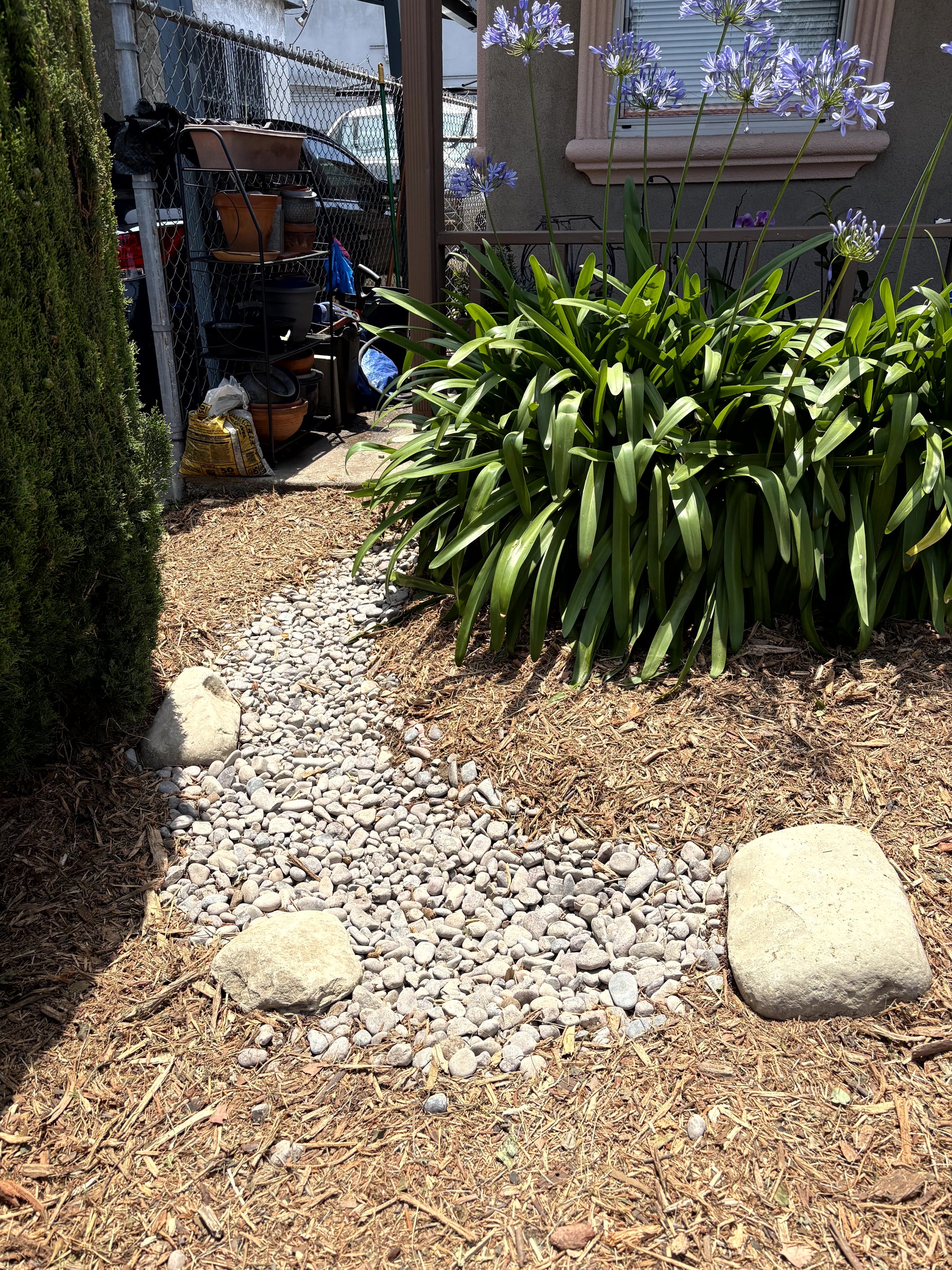 A small gravel pathway bordered by large stones and mulch, with a green shrub on the left and tall purple flowers on the right, next to a house with a window and garden furniture.