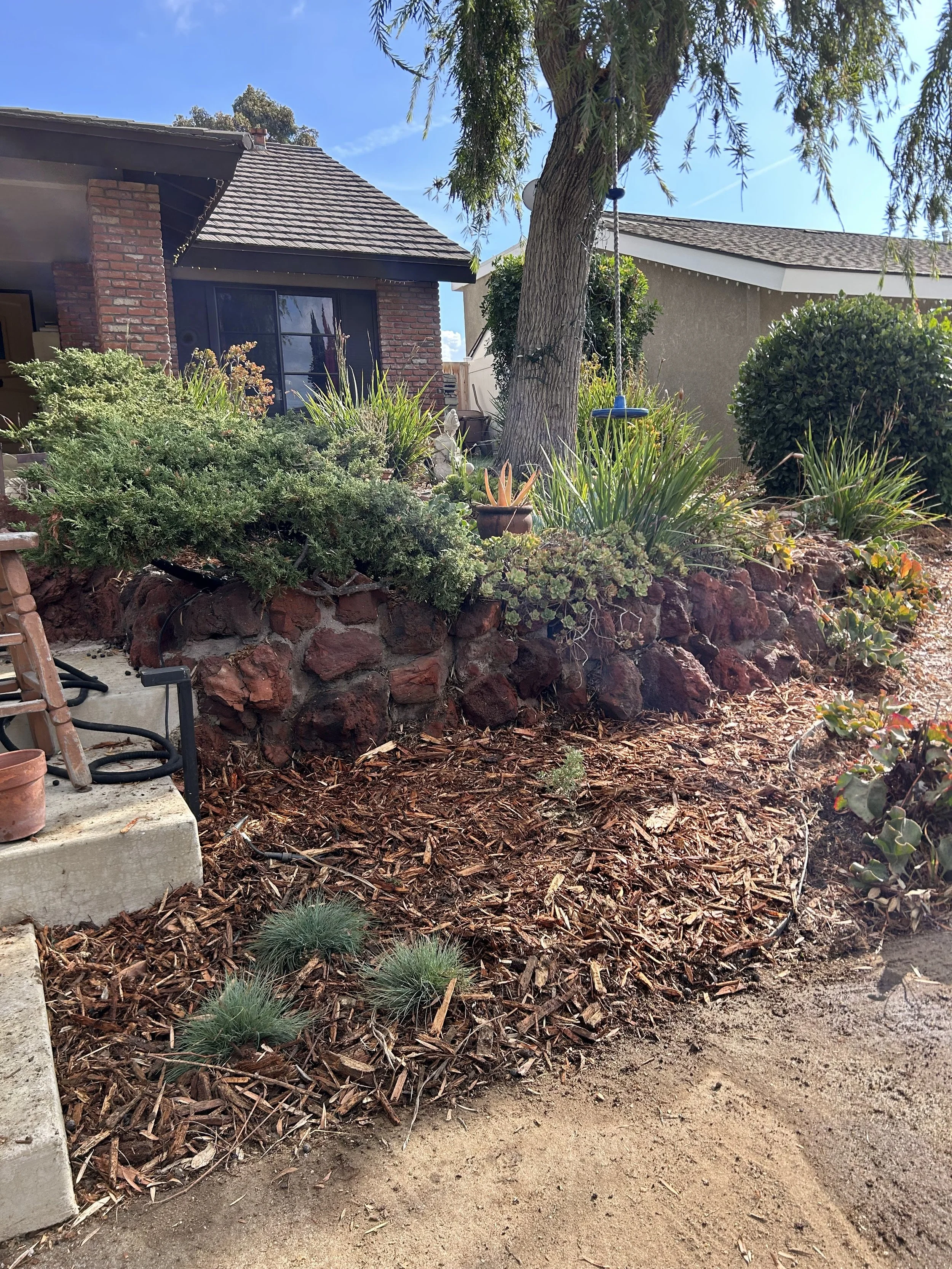 A backyard garden with plants, shrubs, and small trees, featuring a brick house with a sliding glass door, a large tree with a swing, and a stone retaining wall, under a blue sky with some clouds.