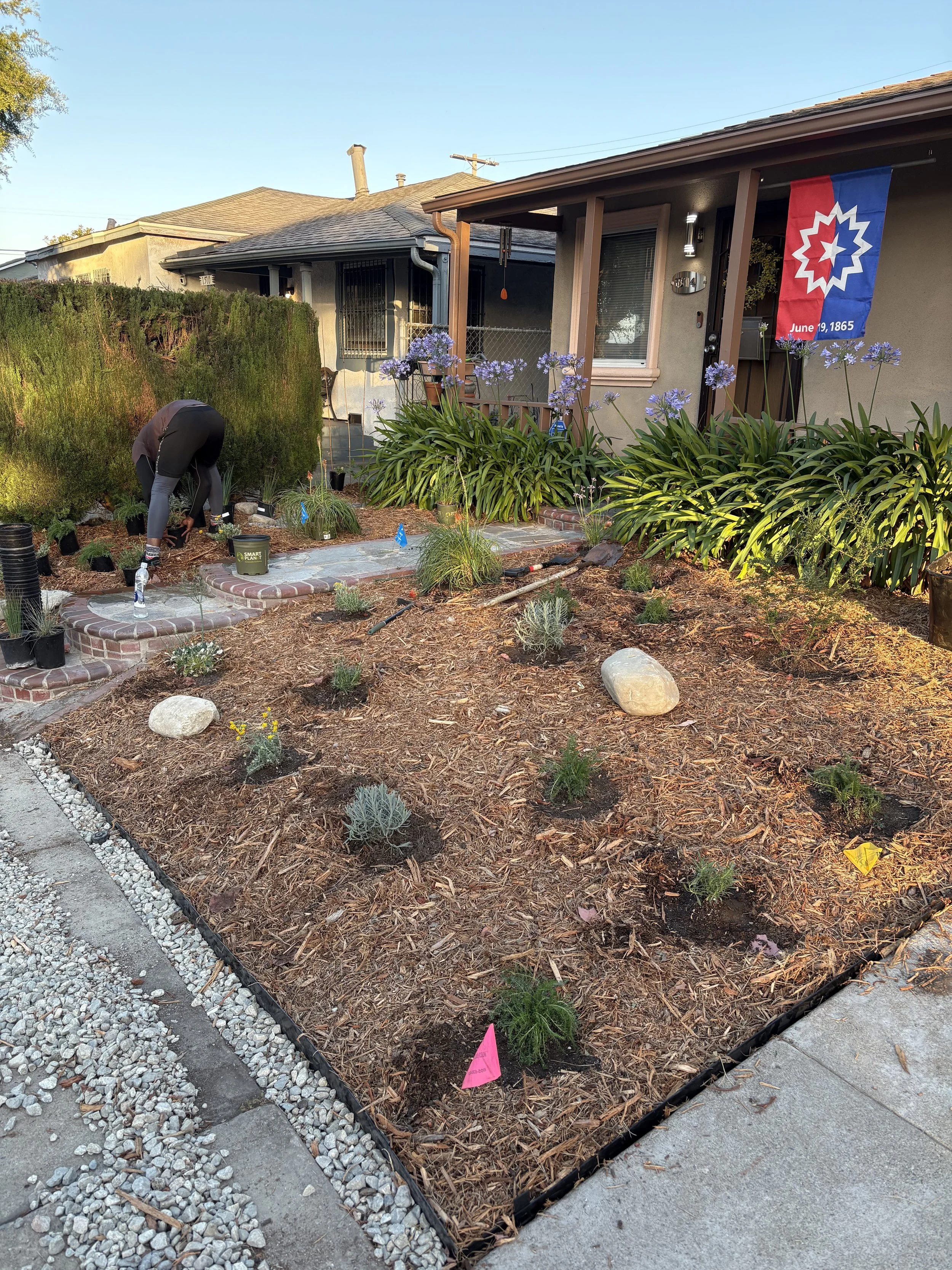 A person working in a freshly landscaped front yard of a house, planting small plants and flowers, with a house in the background that has a patriotic flag hanging on the porch, clear skies, and a border of gravel and mulch around the garden bed.
