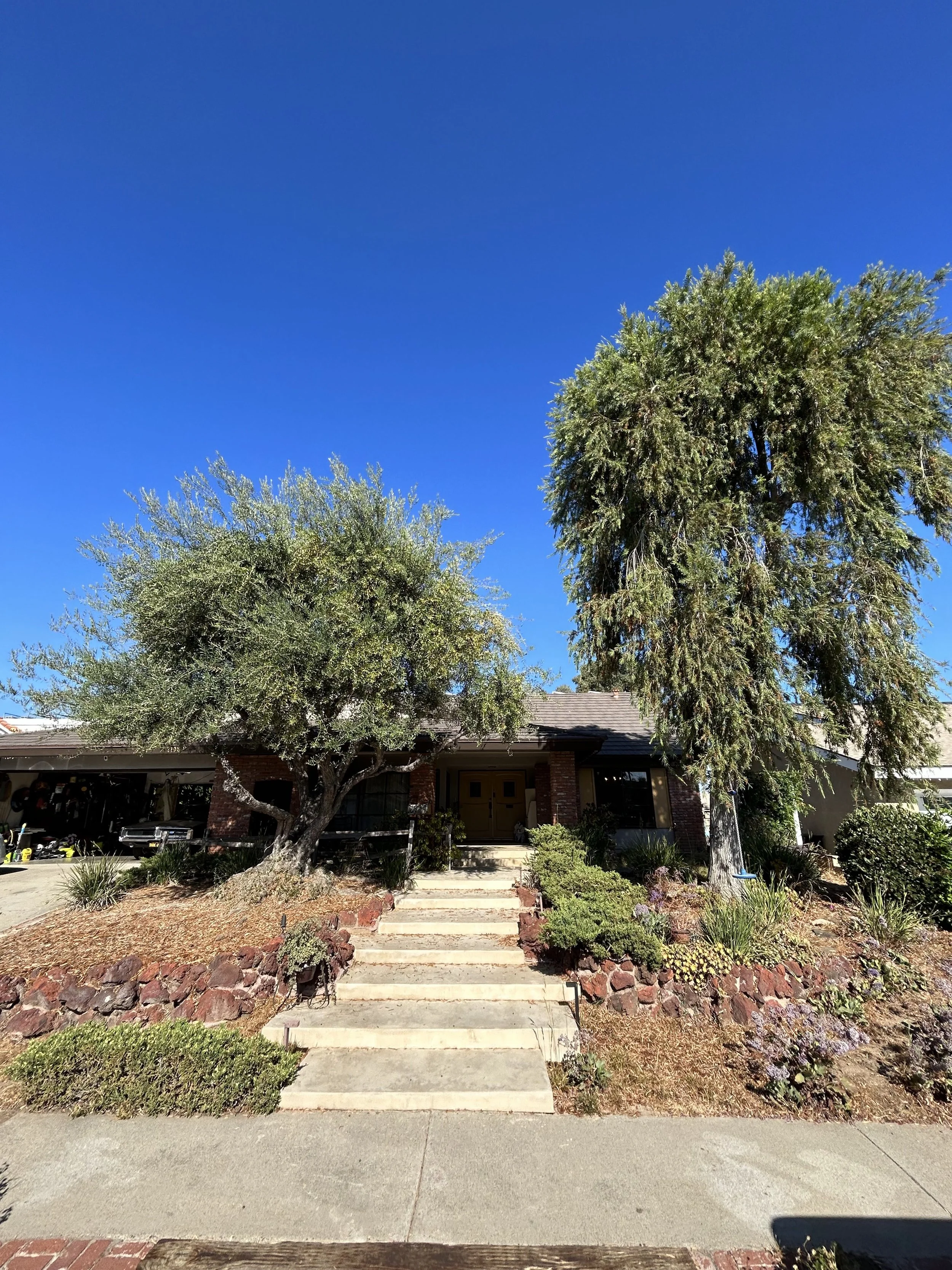Front view of a house with a set of steps leading to the entrance, flanked by landscaped garden beds, and large trees in the front yard under a bright blue sky.