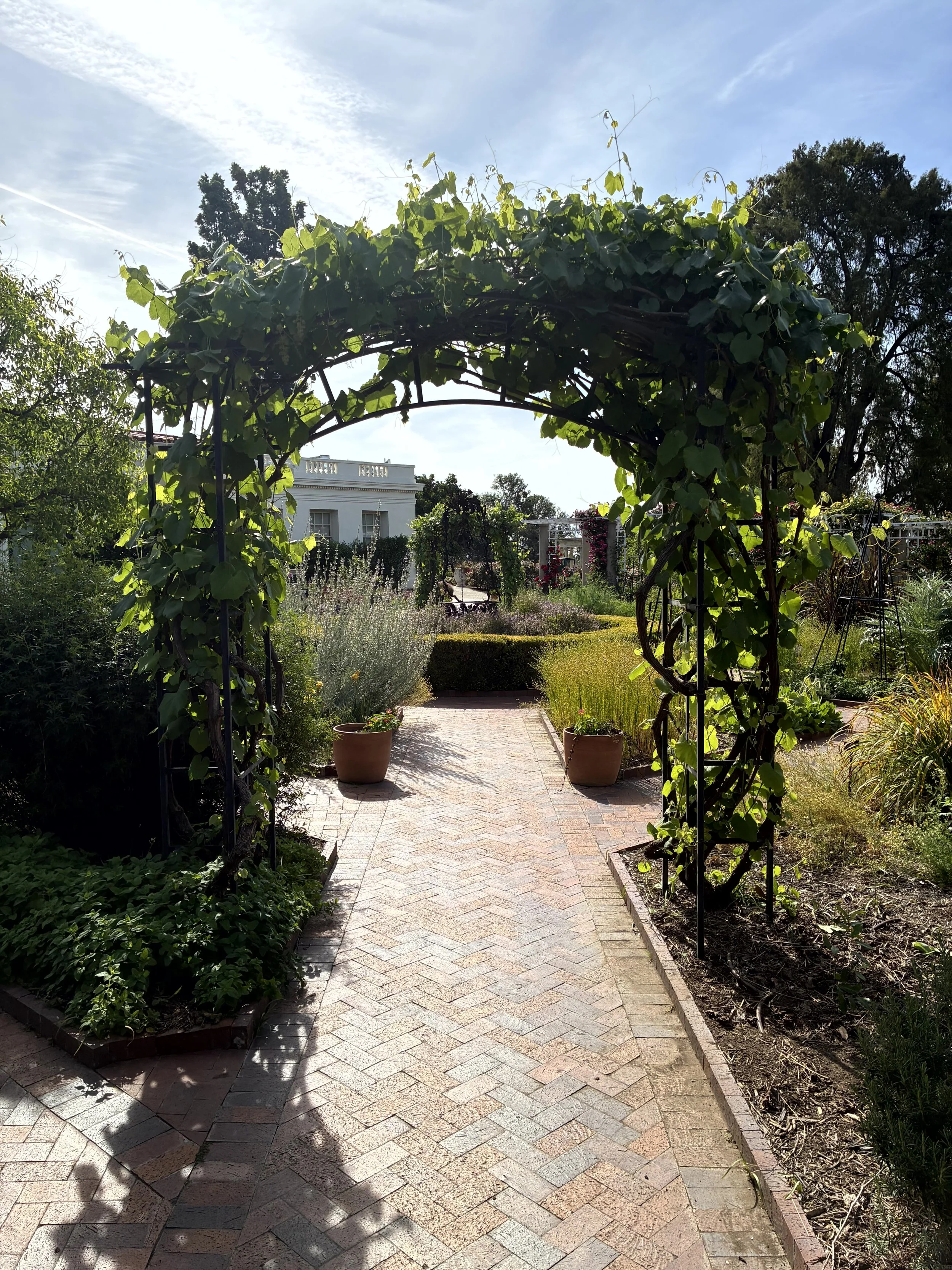 A garden with a brick pathway under a leafy green arbor, leading to a white building in the background.