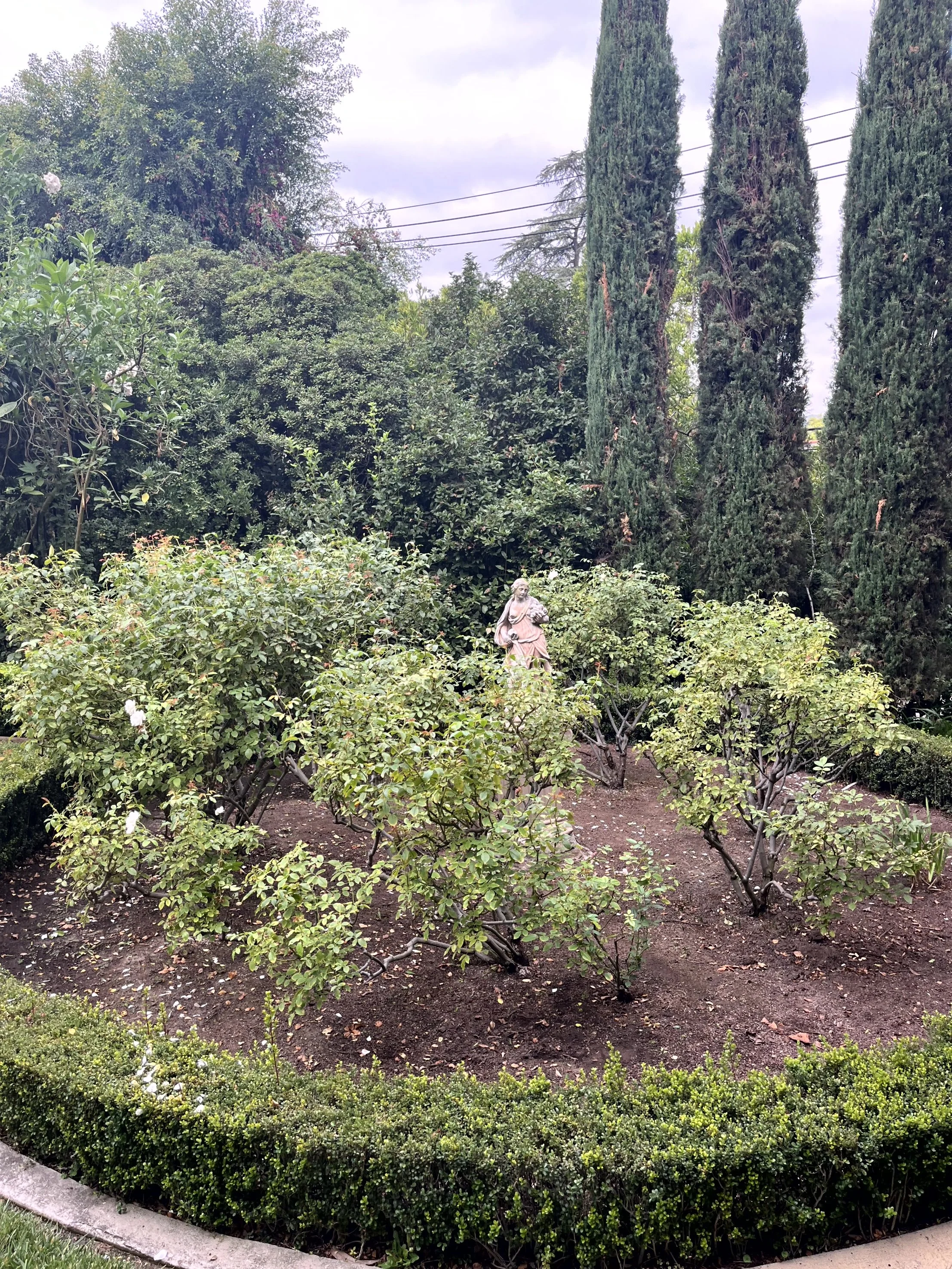 A garden with small green bushes in the front, taller green hedge, and a statue of a person in a robe among the bushes. In the background, there are tall cypress trees, other trees, and power lines under a cloudy sky.