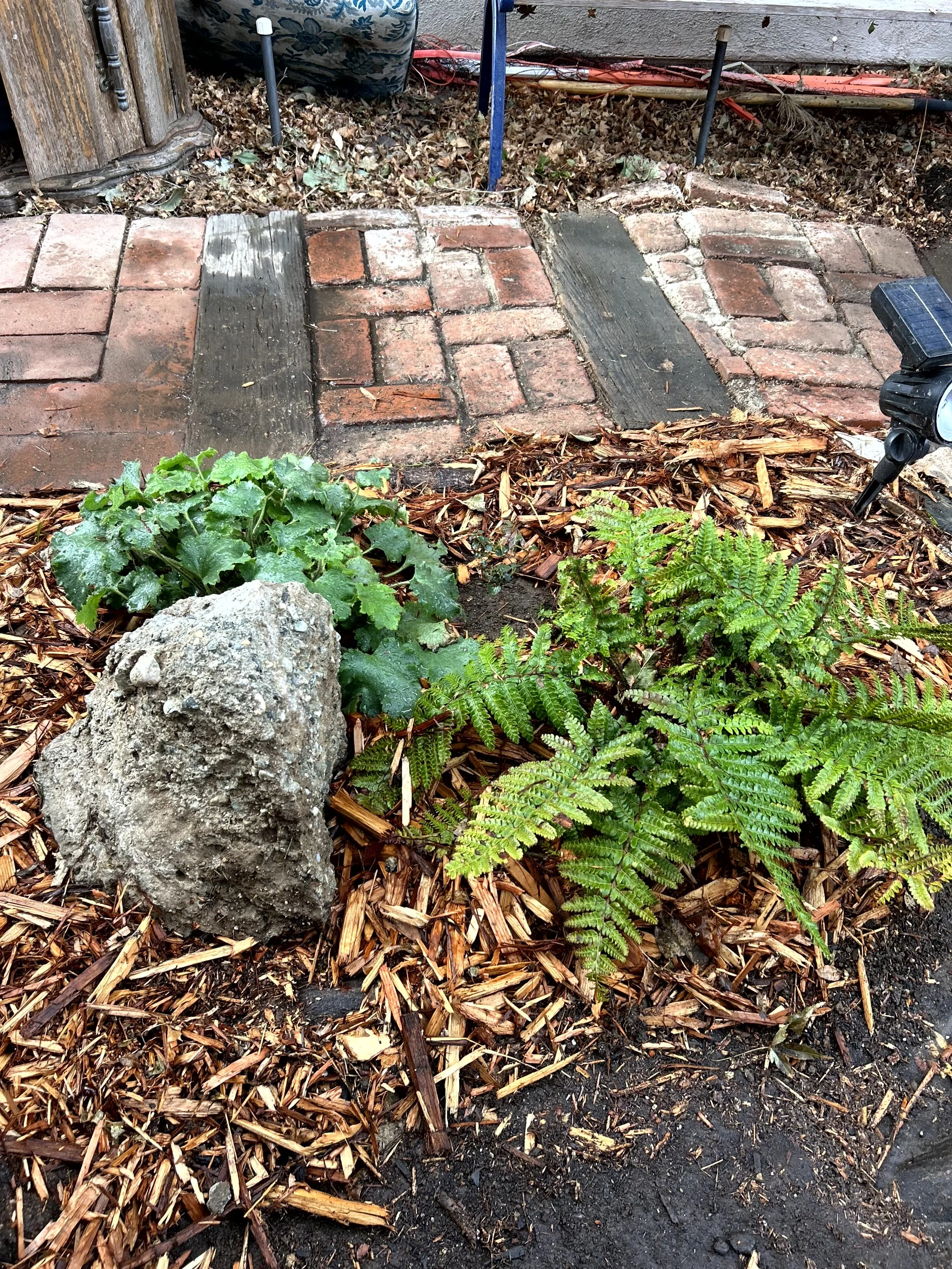 A yard with a flower bed, showing new bricks and wooden boards, some plants, a large rock, and dried leaves and mulch on the dark soil.